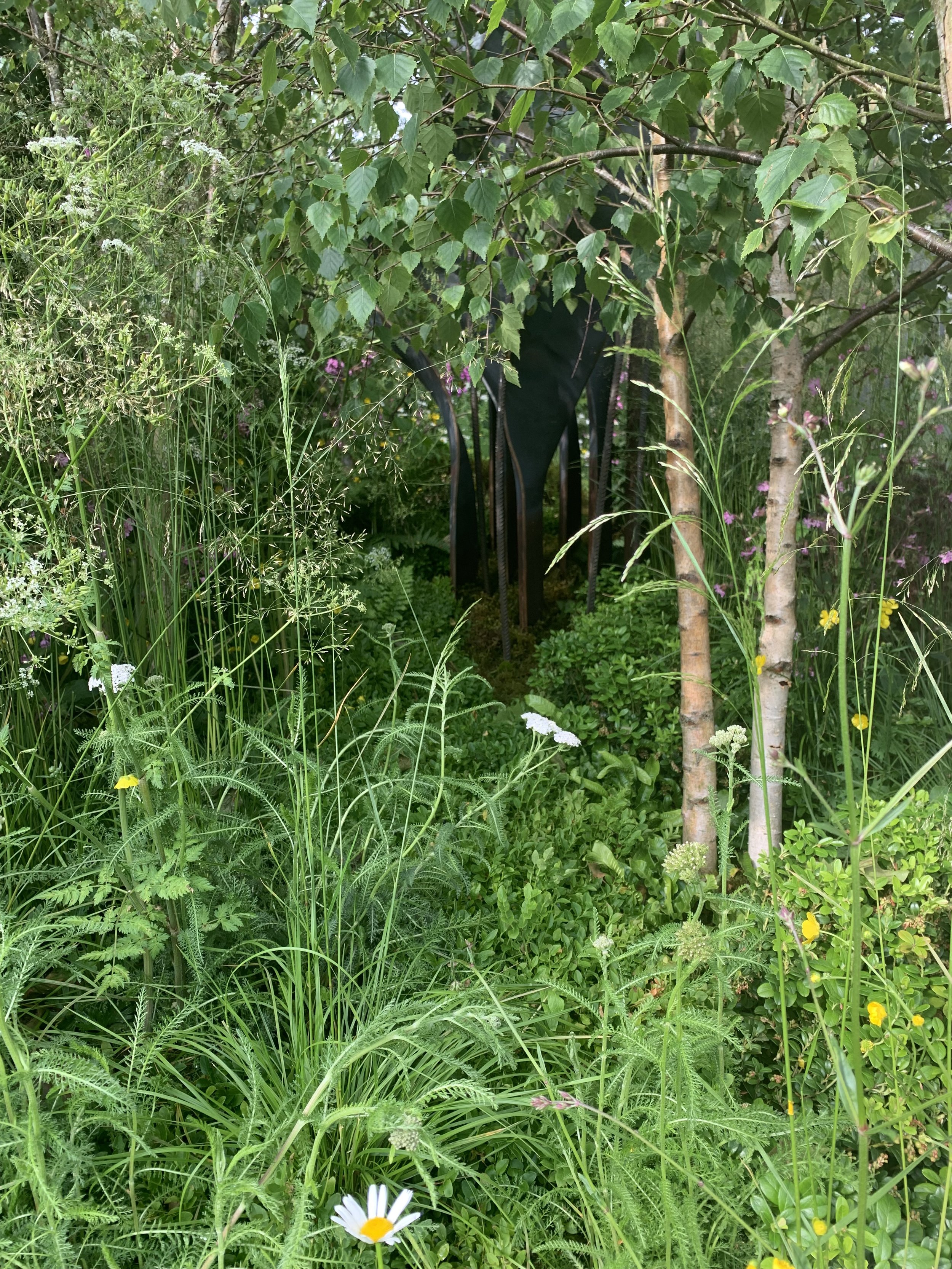 IMG_5572.jpeg