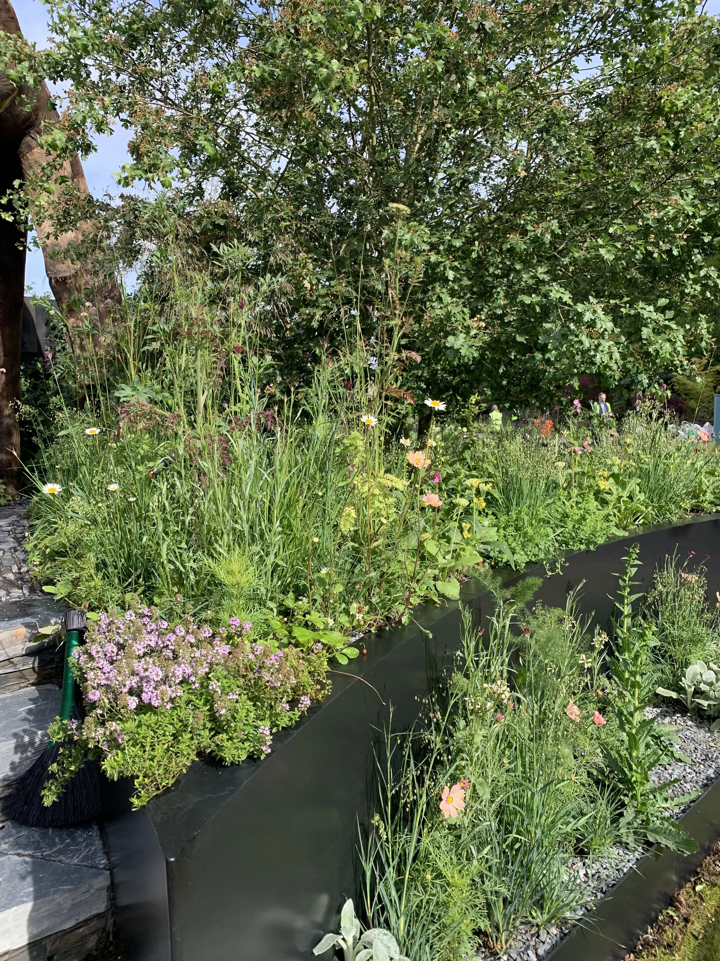A lush garden with various green plants, colorful flowers, and a small pond, surrounded by trees and garden borders.