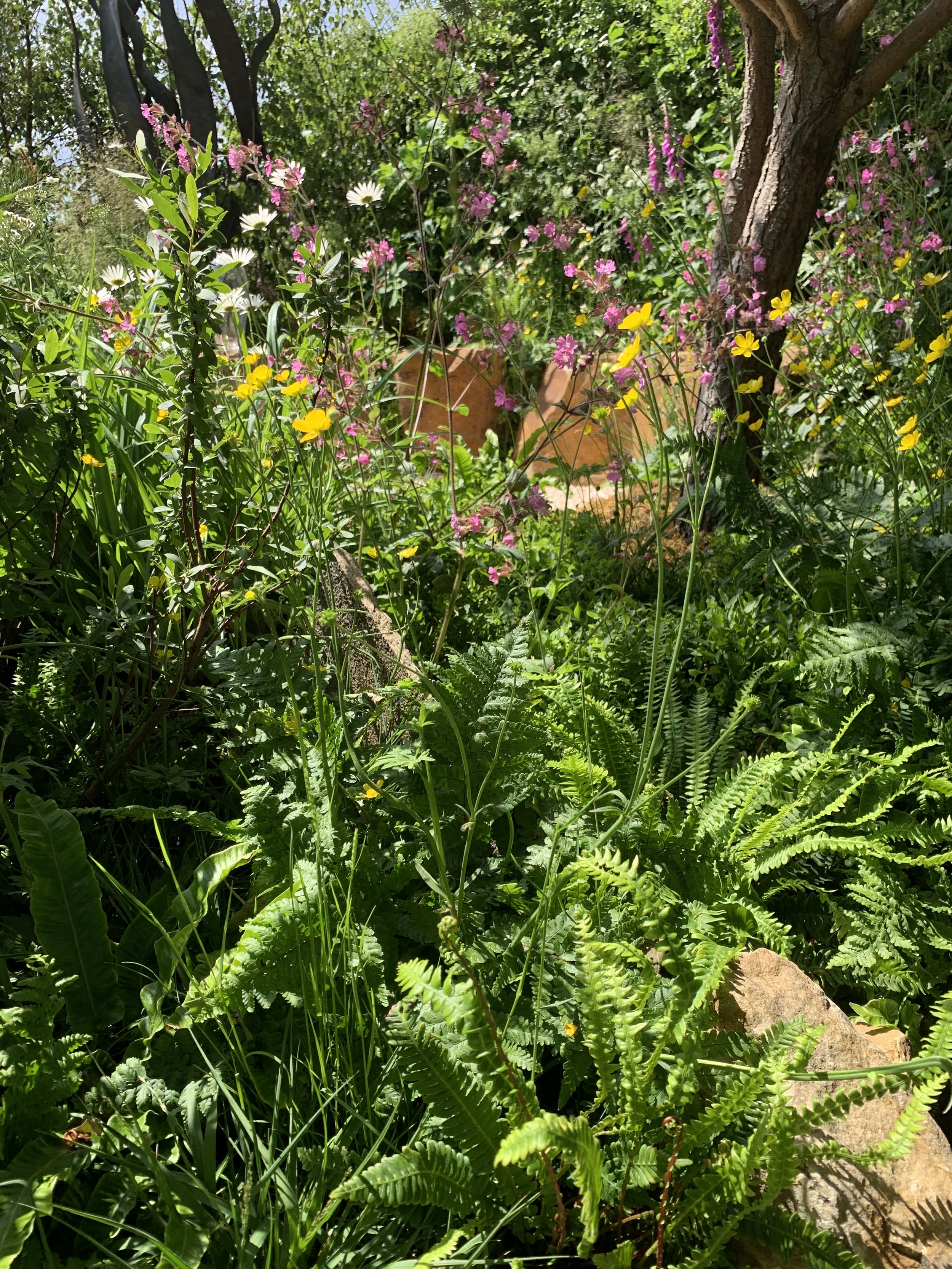 IMG_5543.jpeg