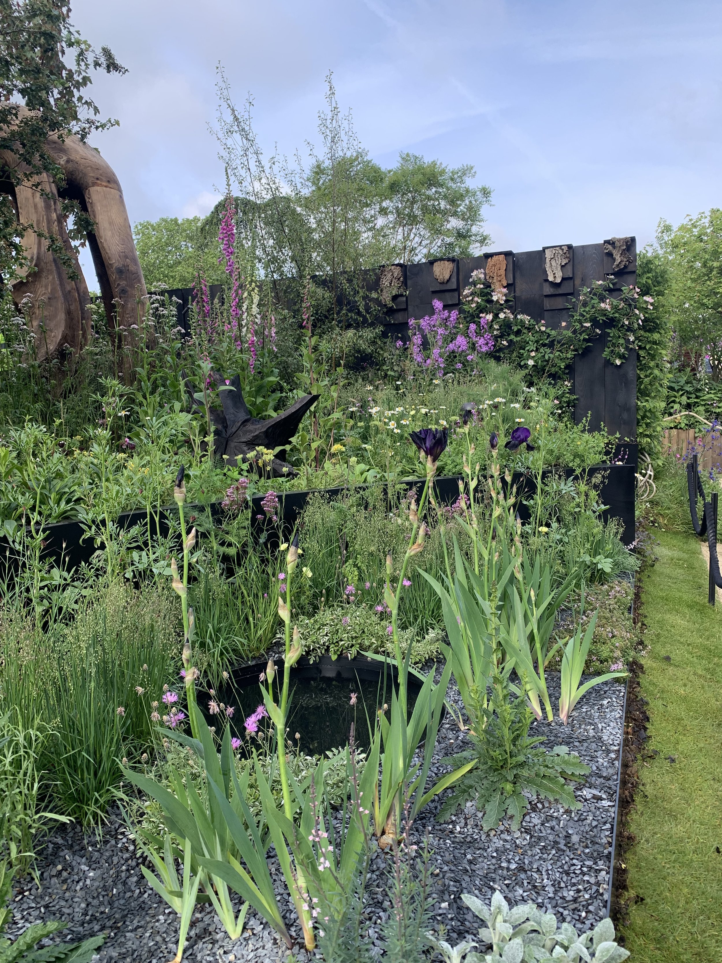 A lush garden with various flowering plants, tall grasses, trees, and a black wooden fence. The ground is covered with small black gravel, and there is a grassy path on the right side.