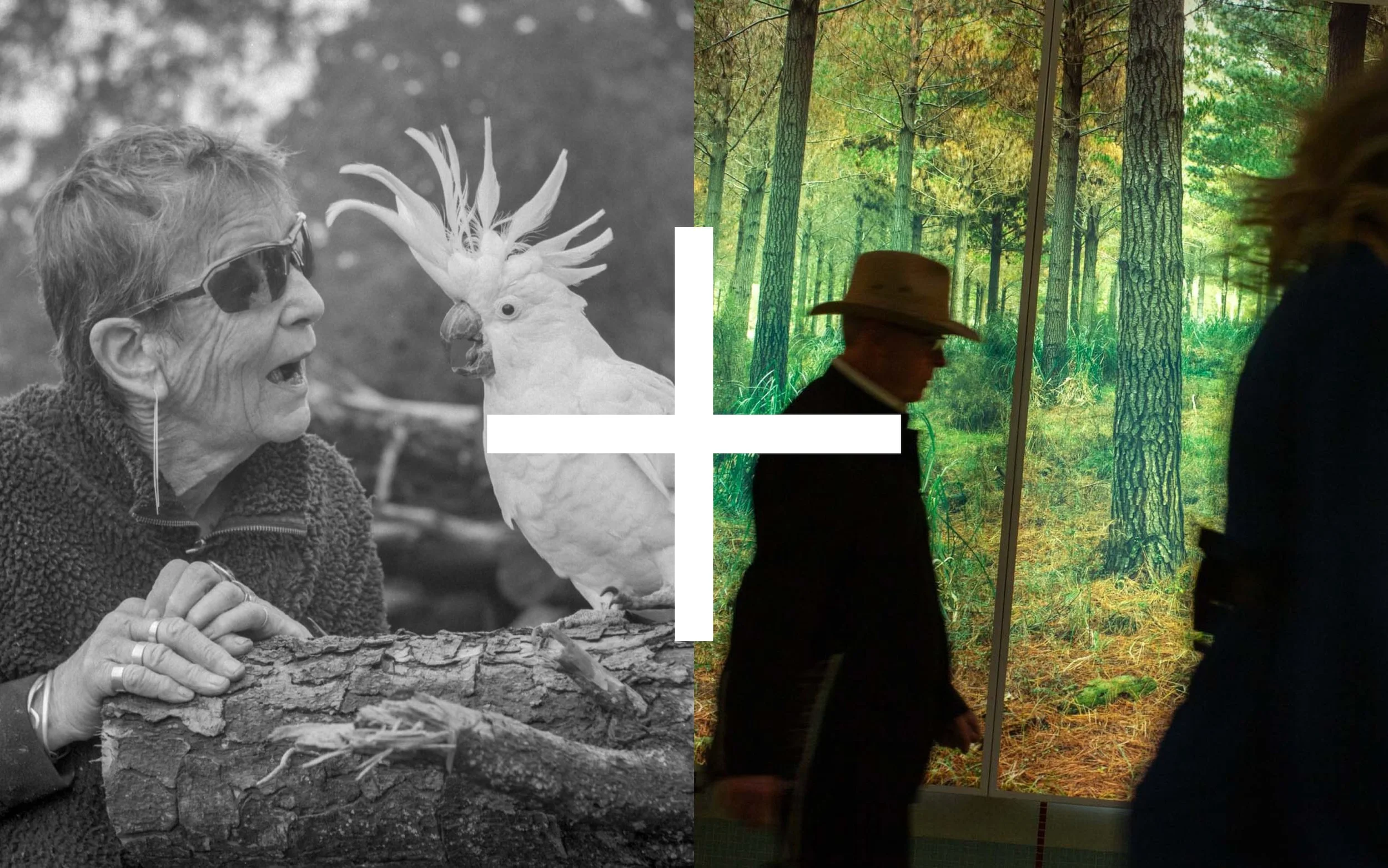 Exhibition Opening - After the Move / What is Real - Sky Petch