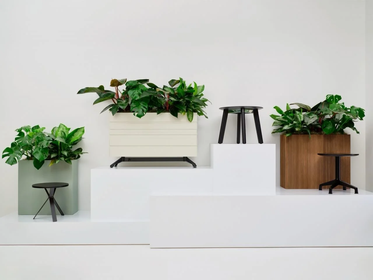 Bring Spring indoors 🪴

Promoting wellness through biophilic design, @enwork Terra Planters incorporate intentional visual elements and function as a versatile partition, perfect for defining spaces.

#enwork #concentric #planters #officeinteriors