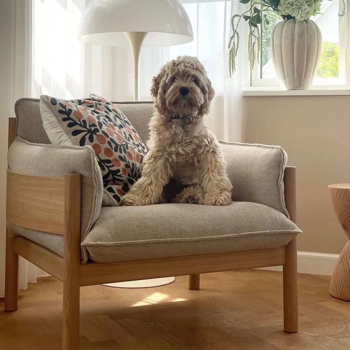 How do you Rolo? 

@memofurniture's Rolo collection is the perfect fit for any space. 

Designed by @studiotolvanen, Rolo's soft pillow cushions, undulating solid wood frame, and beautifully finished front and back allows it to delight from all angle