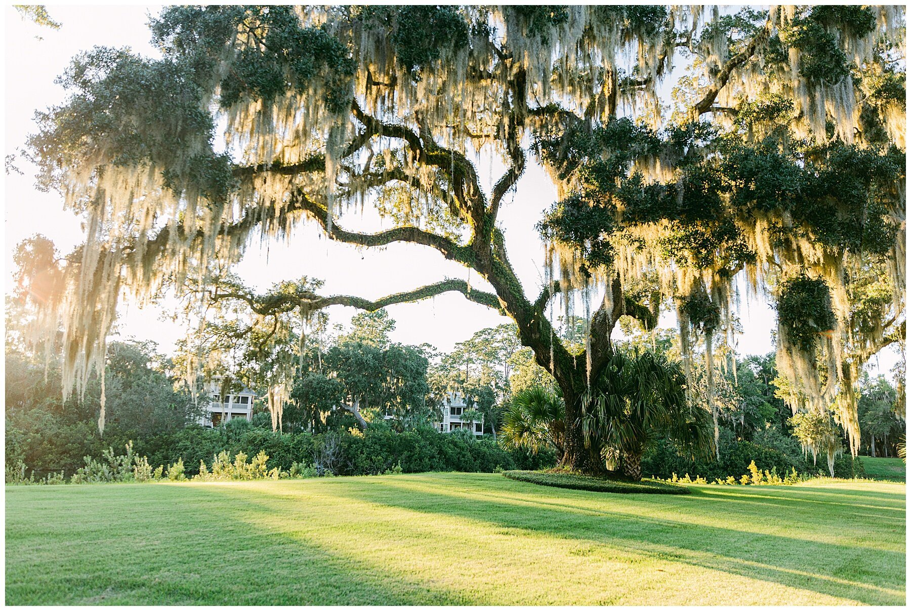 Katherine_Ives_Photography_Mcmillen_Montage_Palmetto_Bluff_13.jpg
