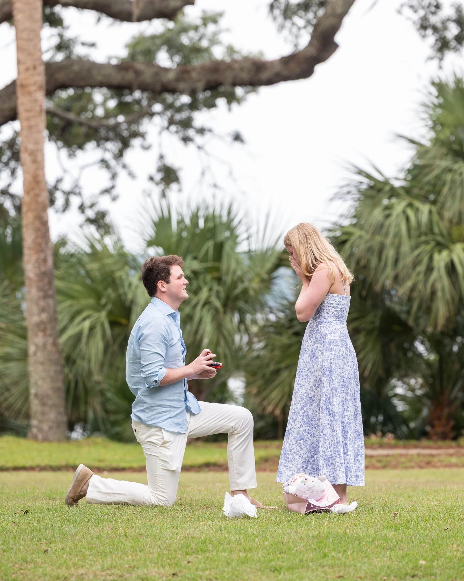A man proposes marriage to a woman in a park, with the man kneeling on one knee and holding a ring, and the woman covering her mouth with her hands in surprise. The scene is set outdoors with green grass and trees in the background.
