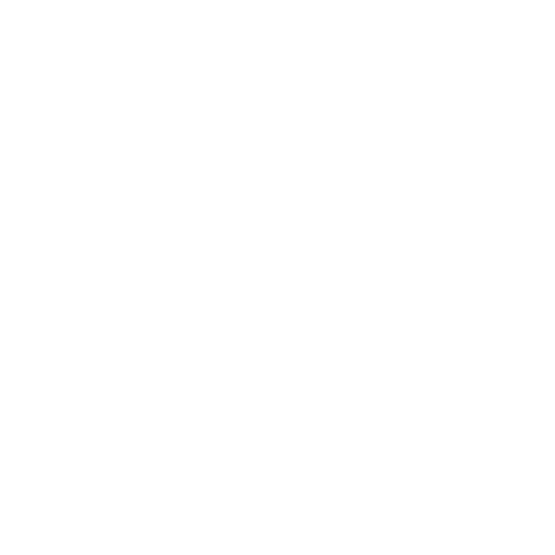 Advanced Video 1 LLC