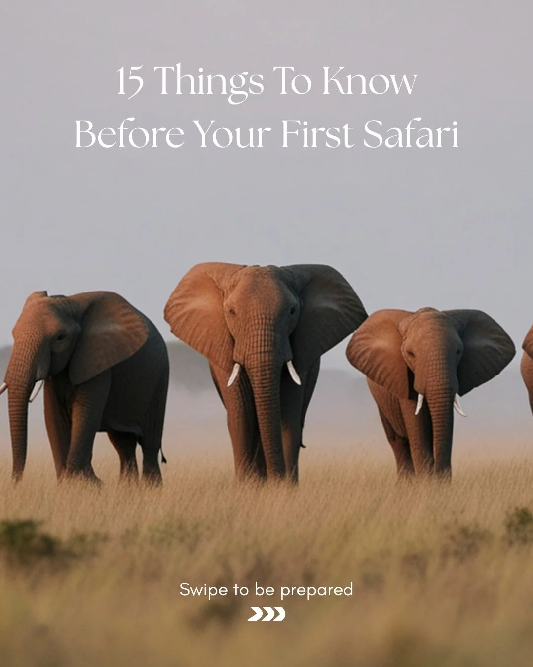 Planning your first African safari?

There are a few things most travelers don&rsquo;t realize before they go, from chilly sunrise game drives to strict luggage limits on bush flights. A little preparation goes a long way in making the experience sea