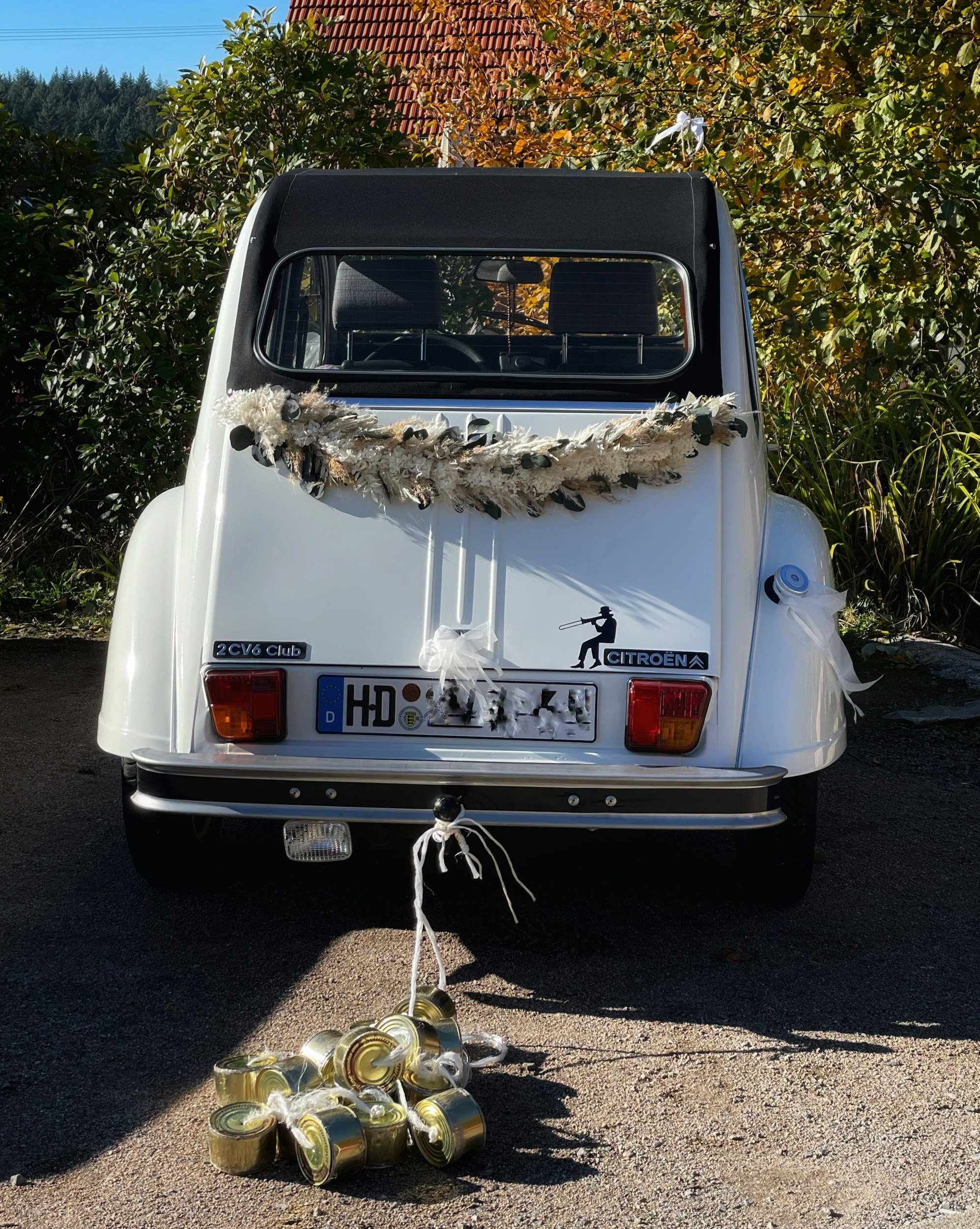 RLT helps book logistics for destination weddings.