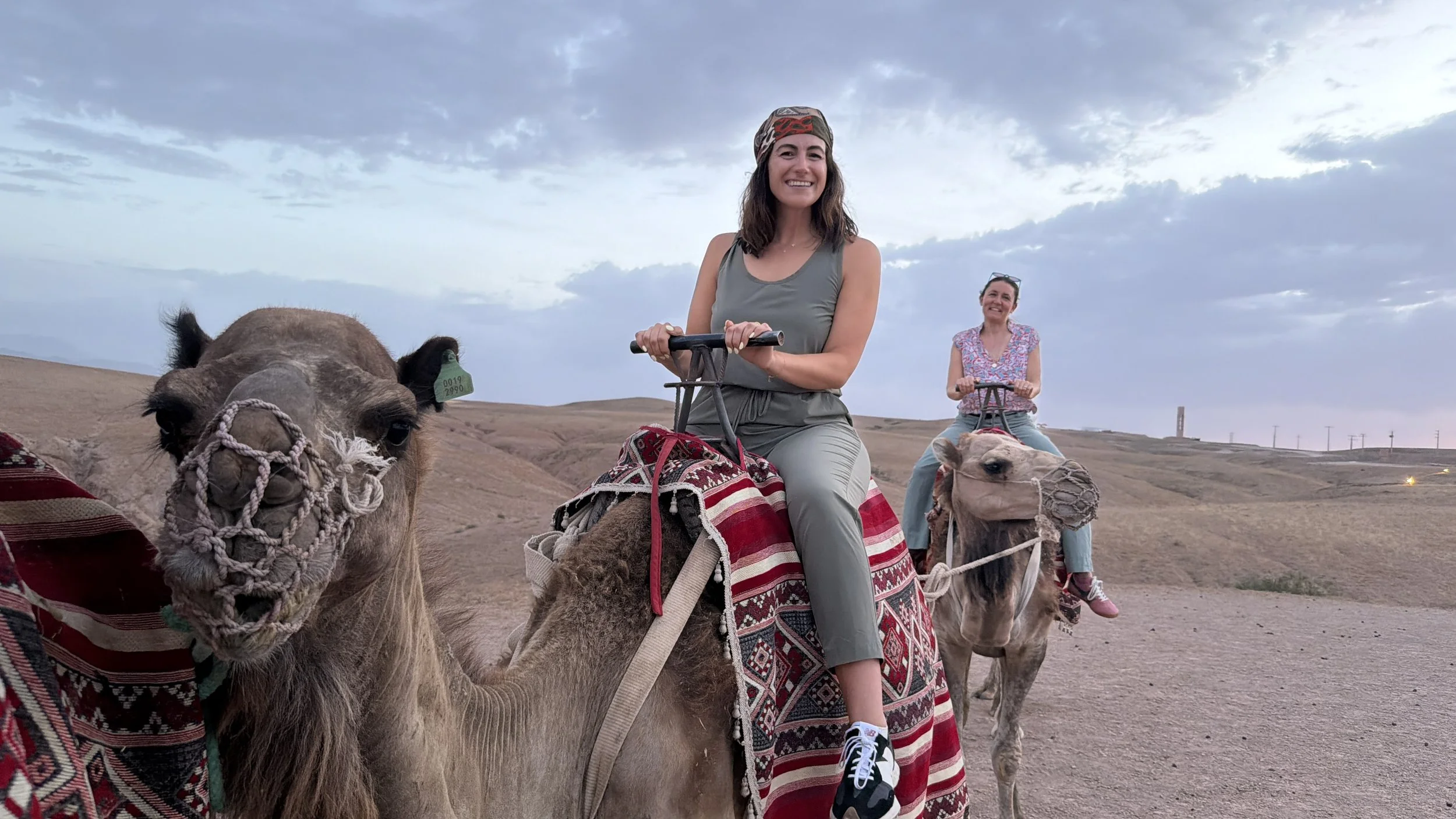Morocco: A Country That Rewards the Curious