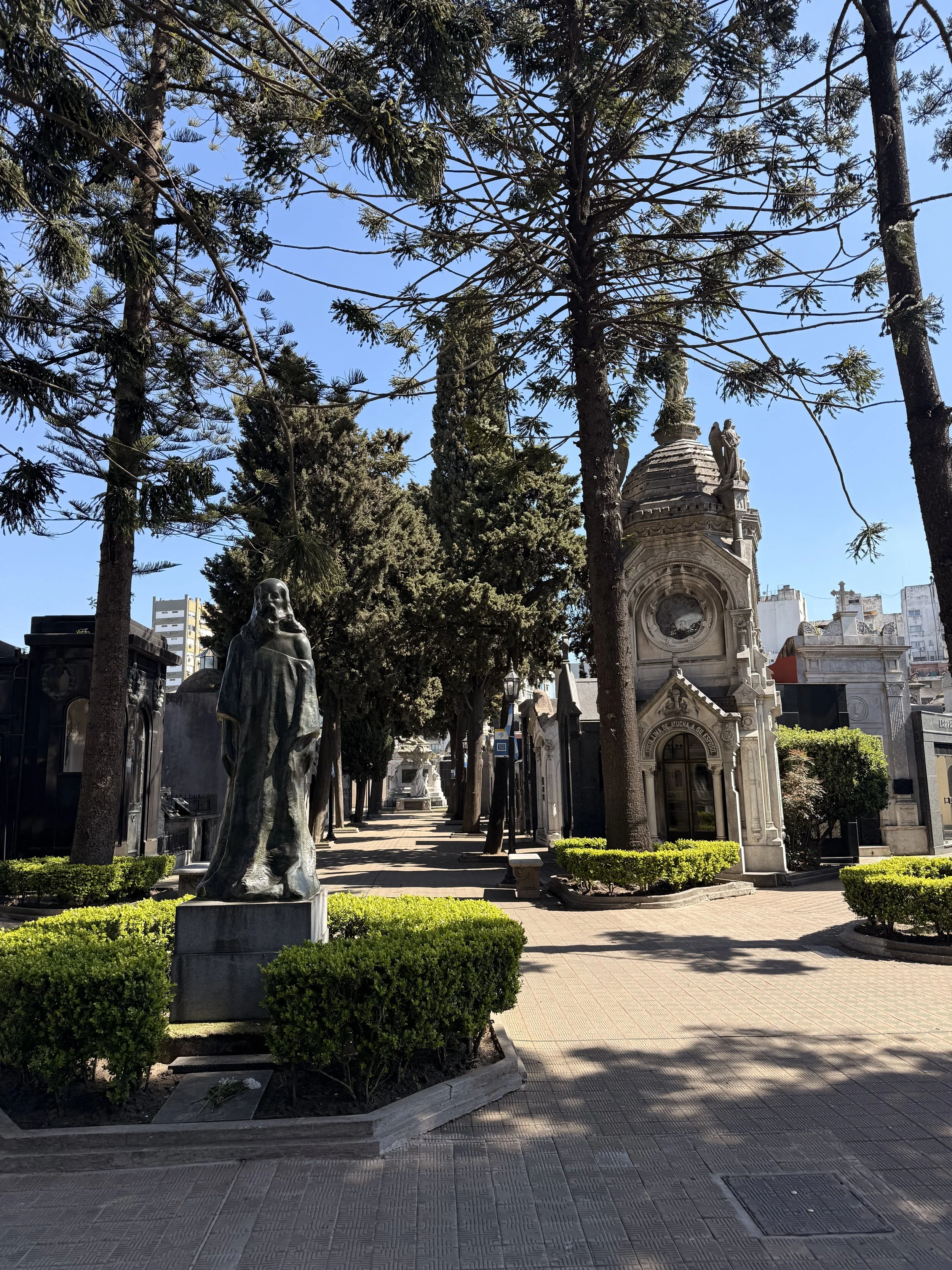 IMG_1023.jpeg