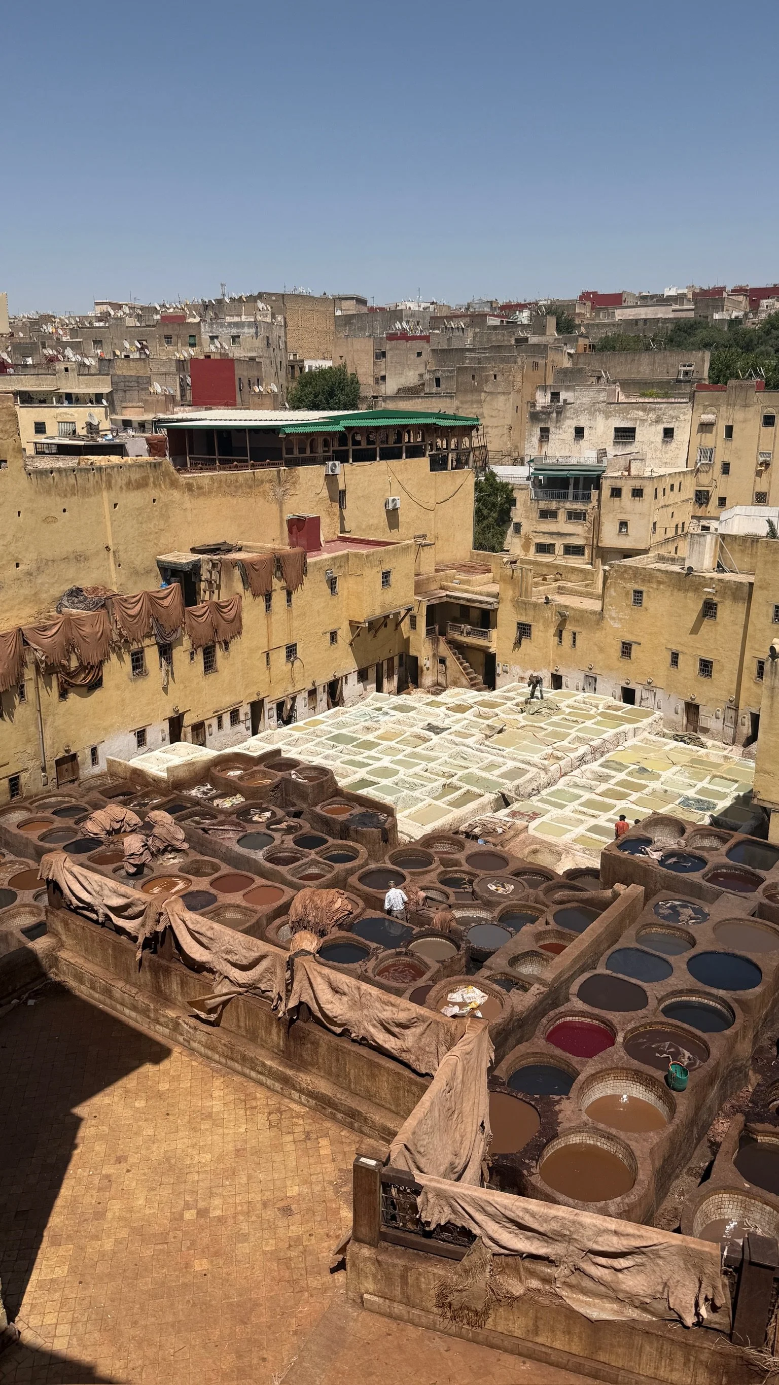 The leather tanneries in Fes, Morocco.