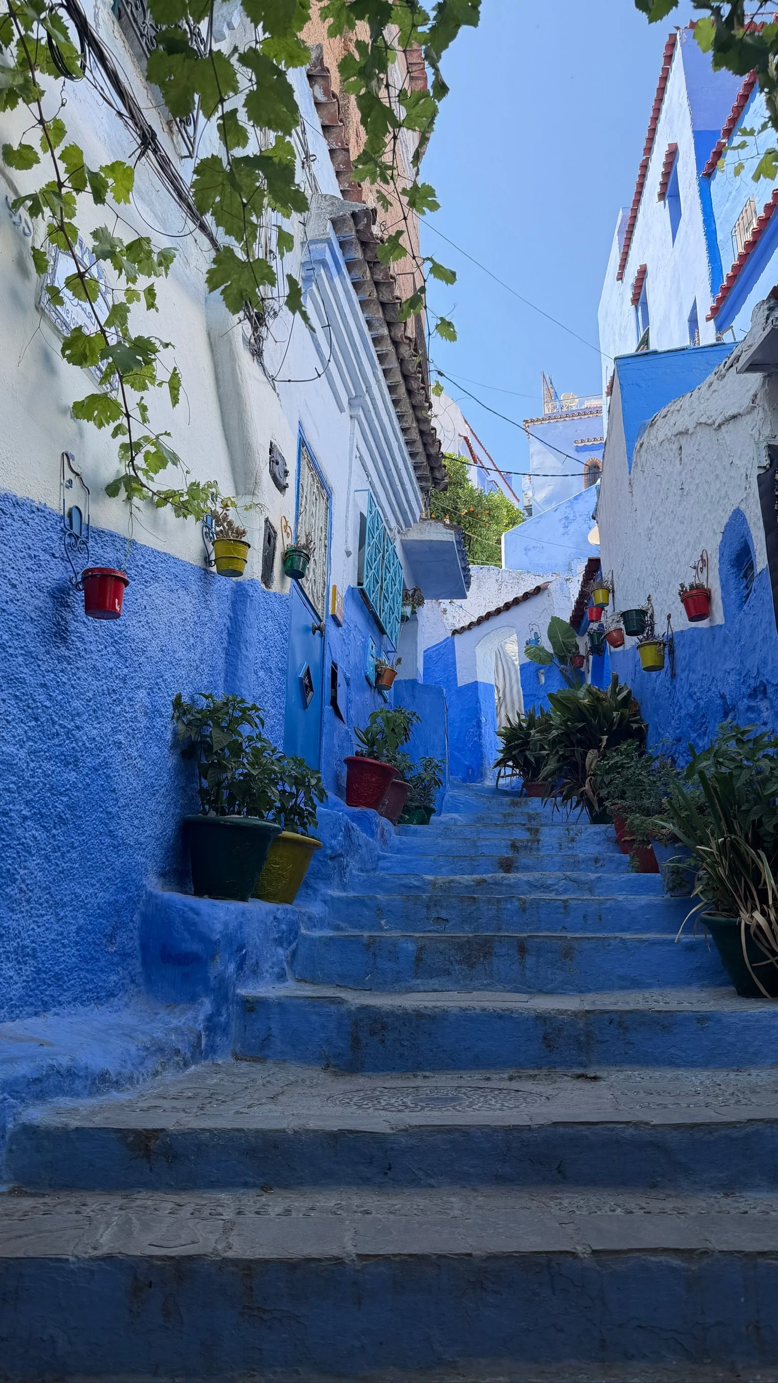 Chefchaouen explored by one of Red Letter Travel's advisors, Dani Crowley.
