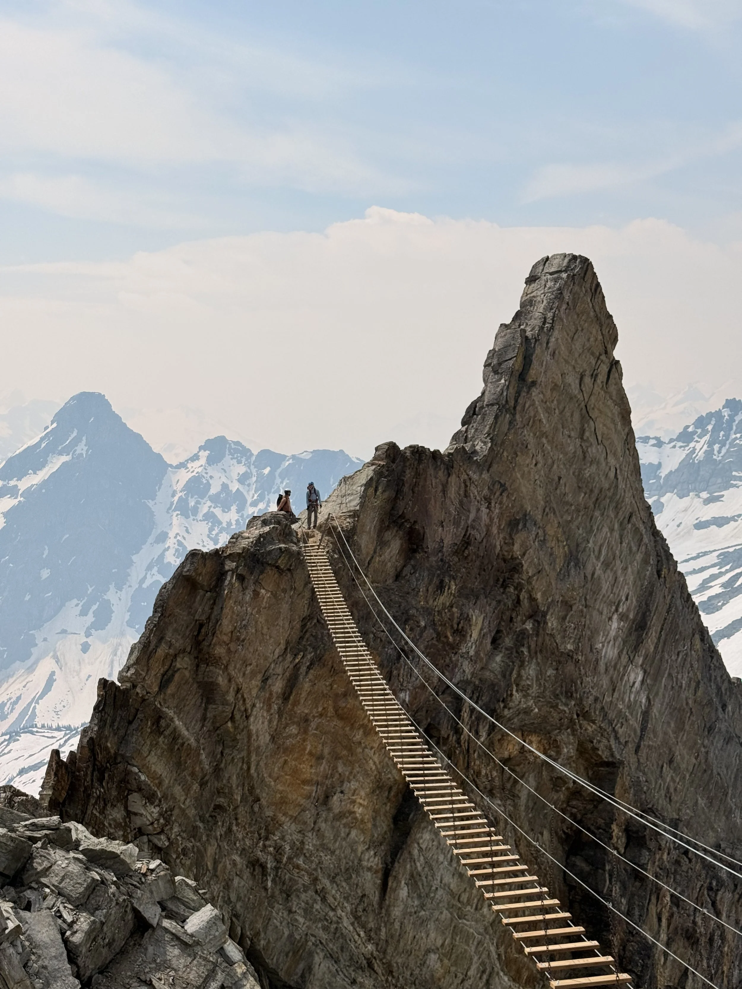 Mount Nimbus Via Ferrata suspension bridge