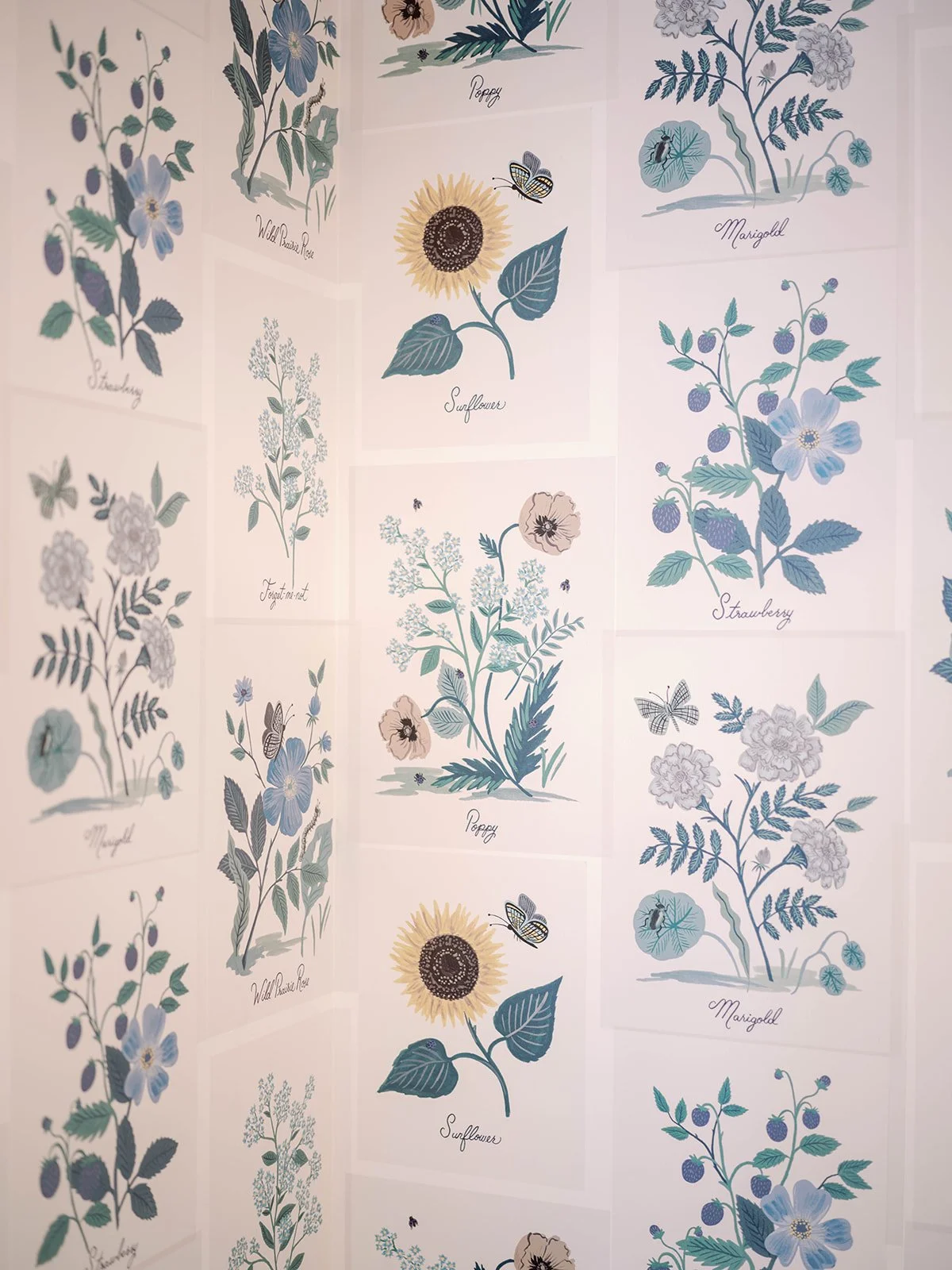 Vintage floral illustration wallcovering