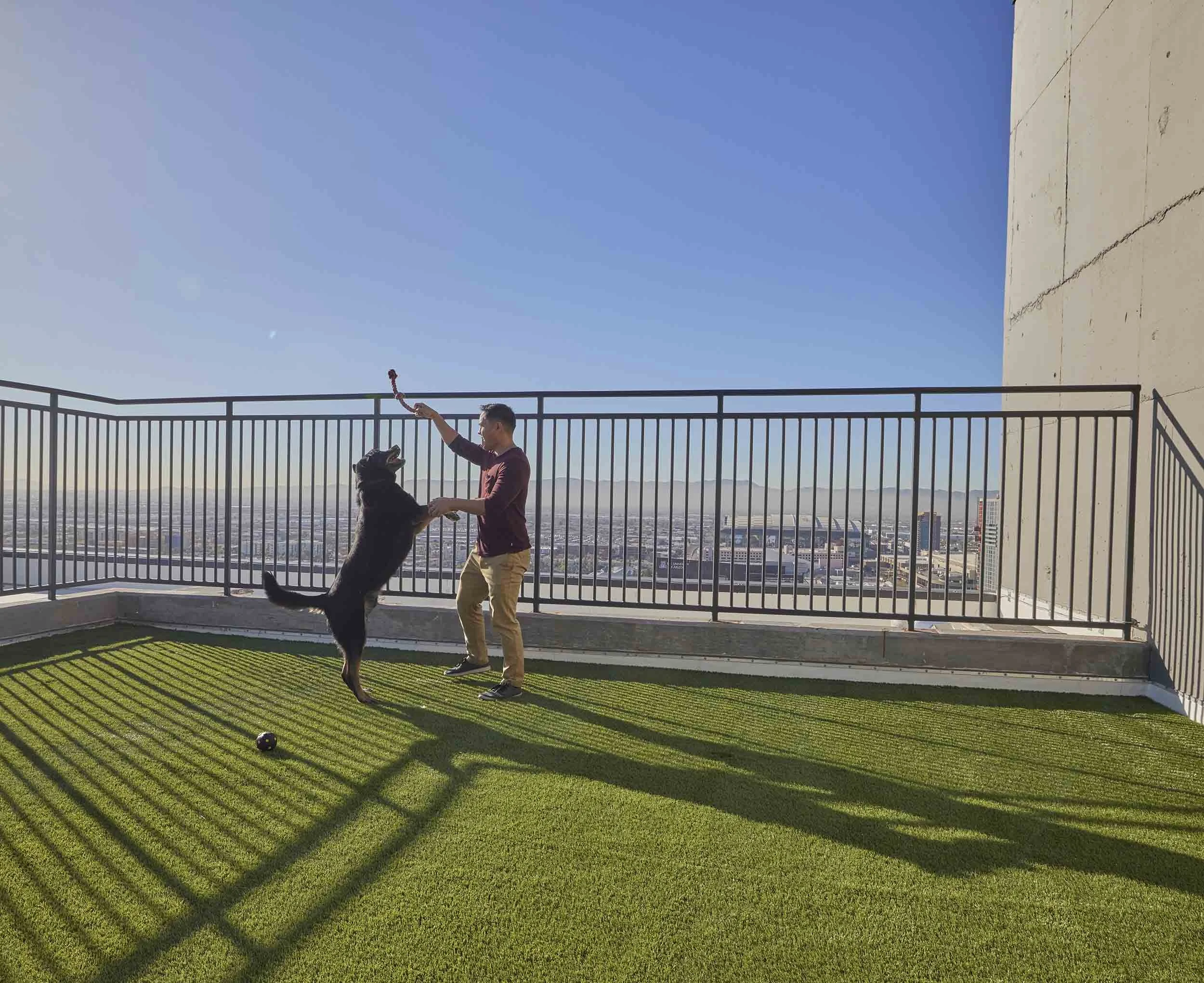 Rooftop dog run