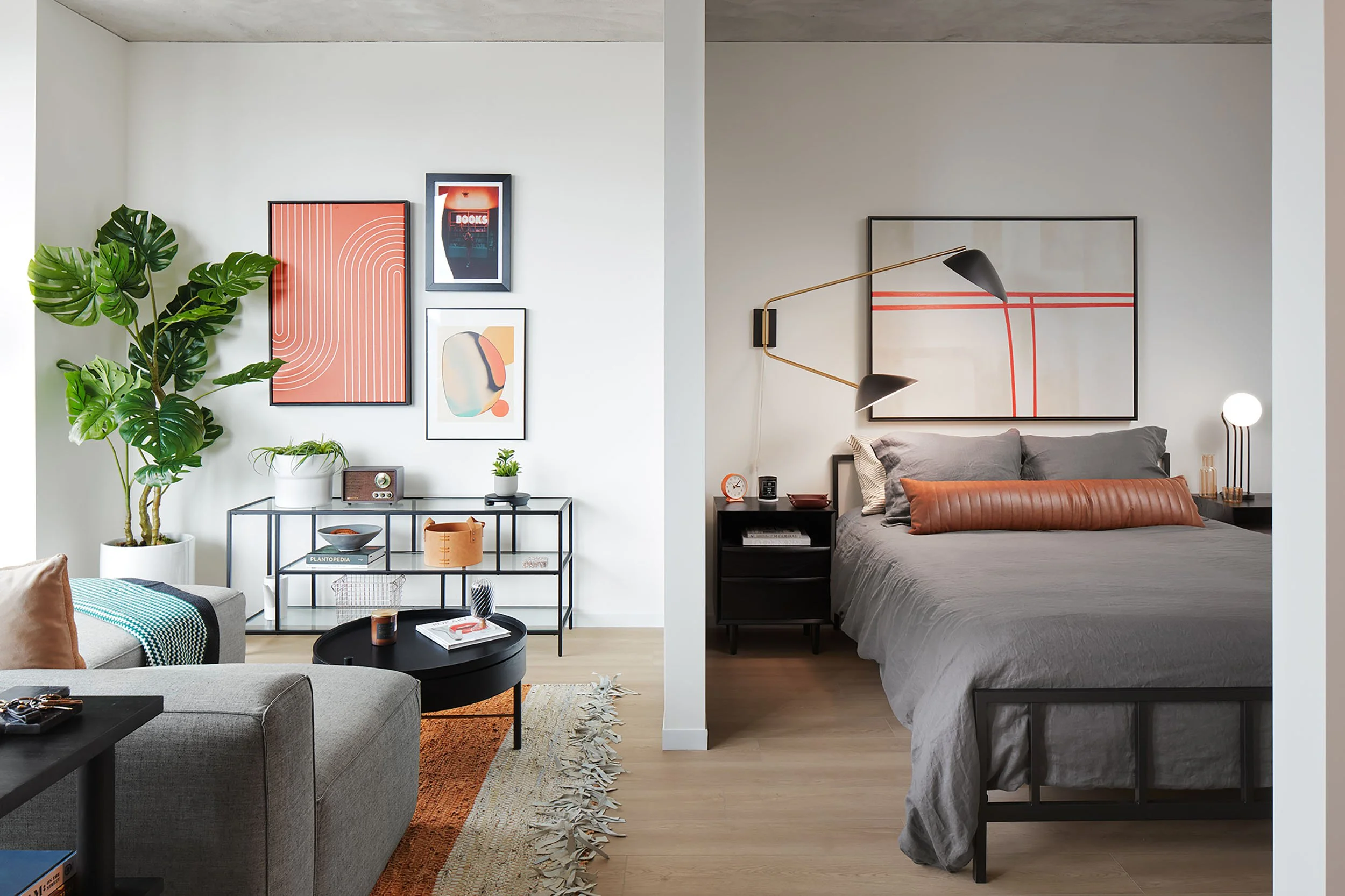 Living room and bedroom layout in Studio apartment