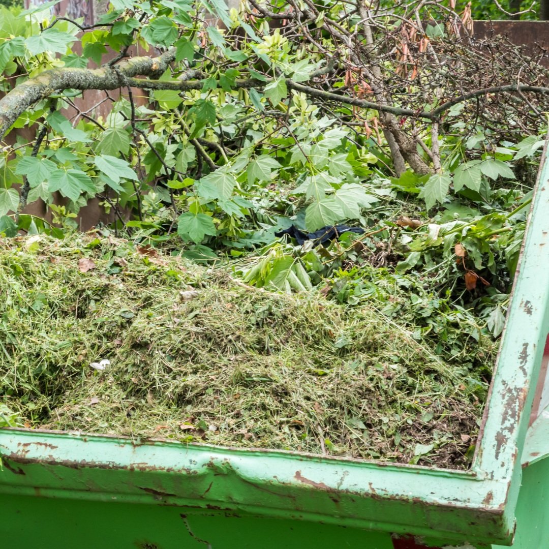 waste removal services