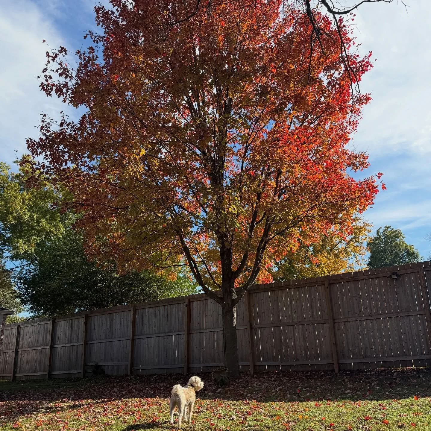 Swipe. "you're doing amazing, sweetie" 📸