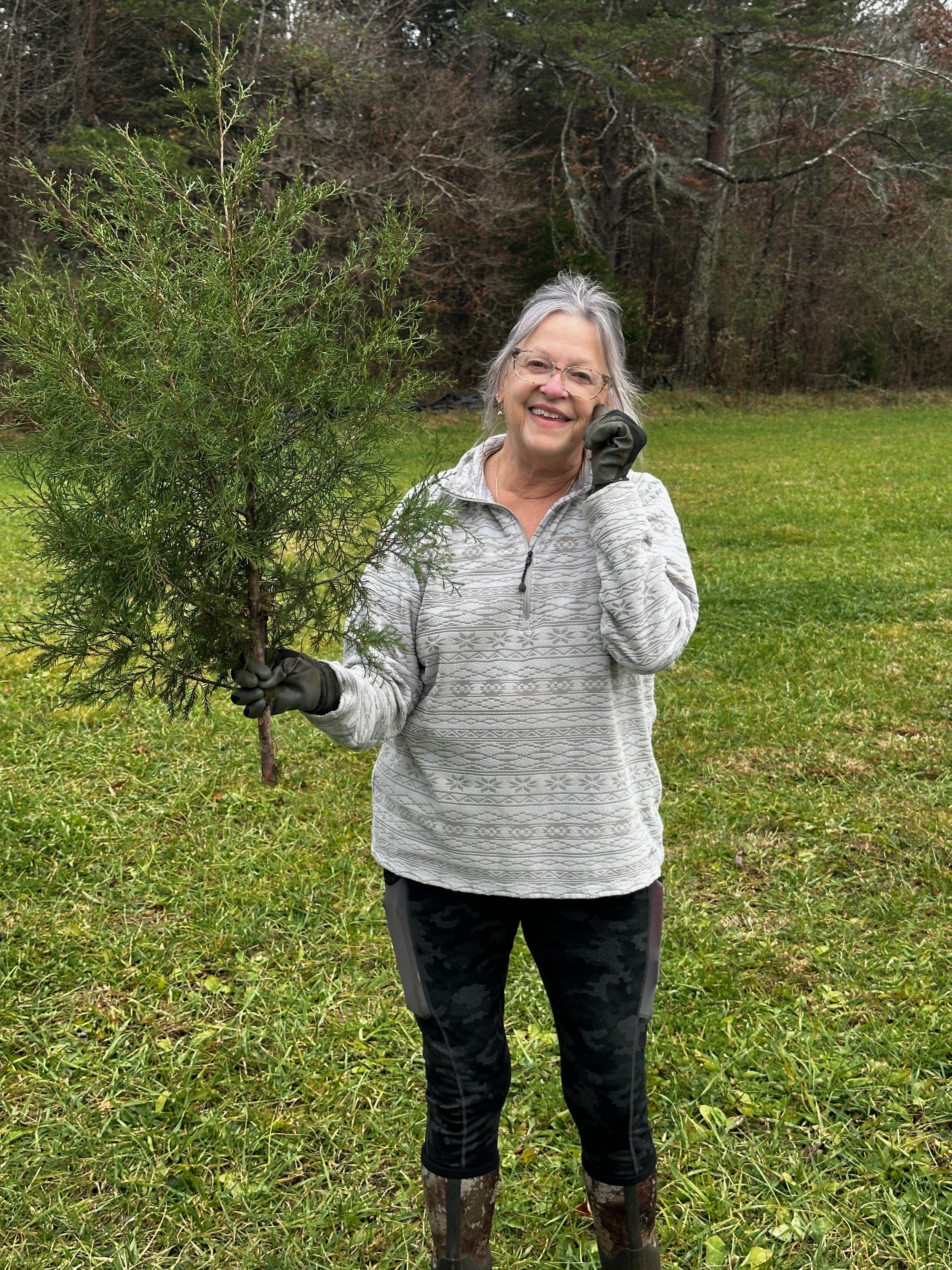 Outdoor portrait of woman holding small tree