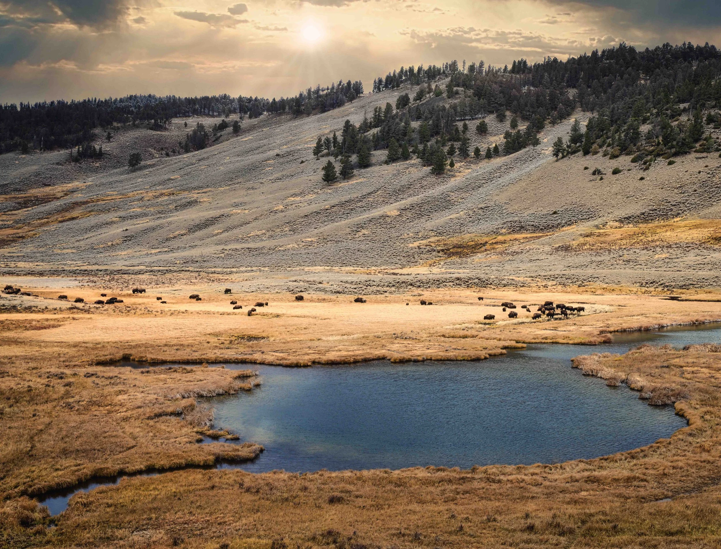 Yellowstone National Park: A Photographer’s Journey Through America’s Wild Heart