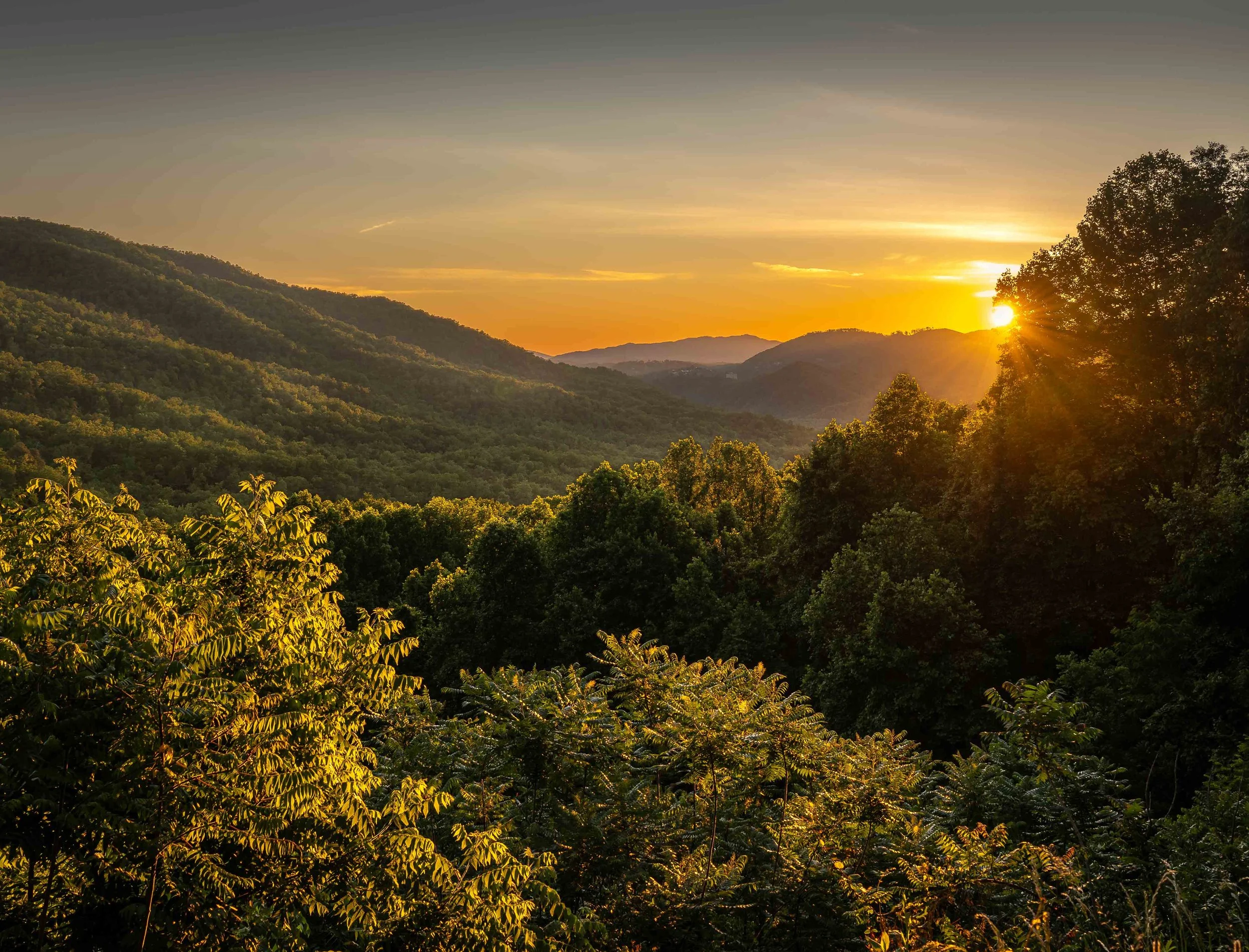 Chasing Light in the Smokies: A Photographer's Journey Through the Great Smoky Mountains