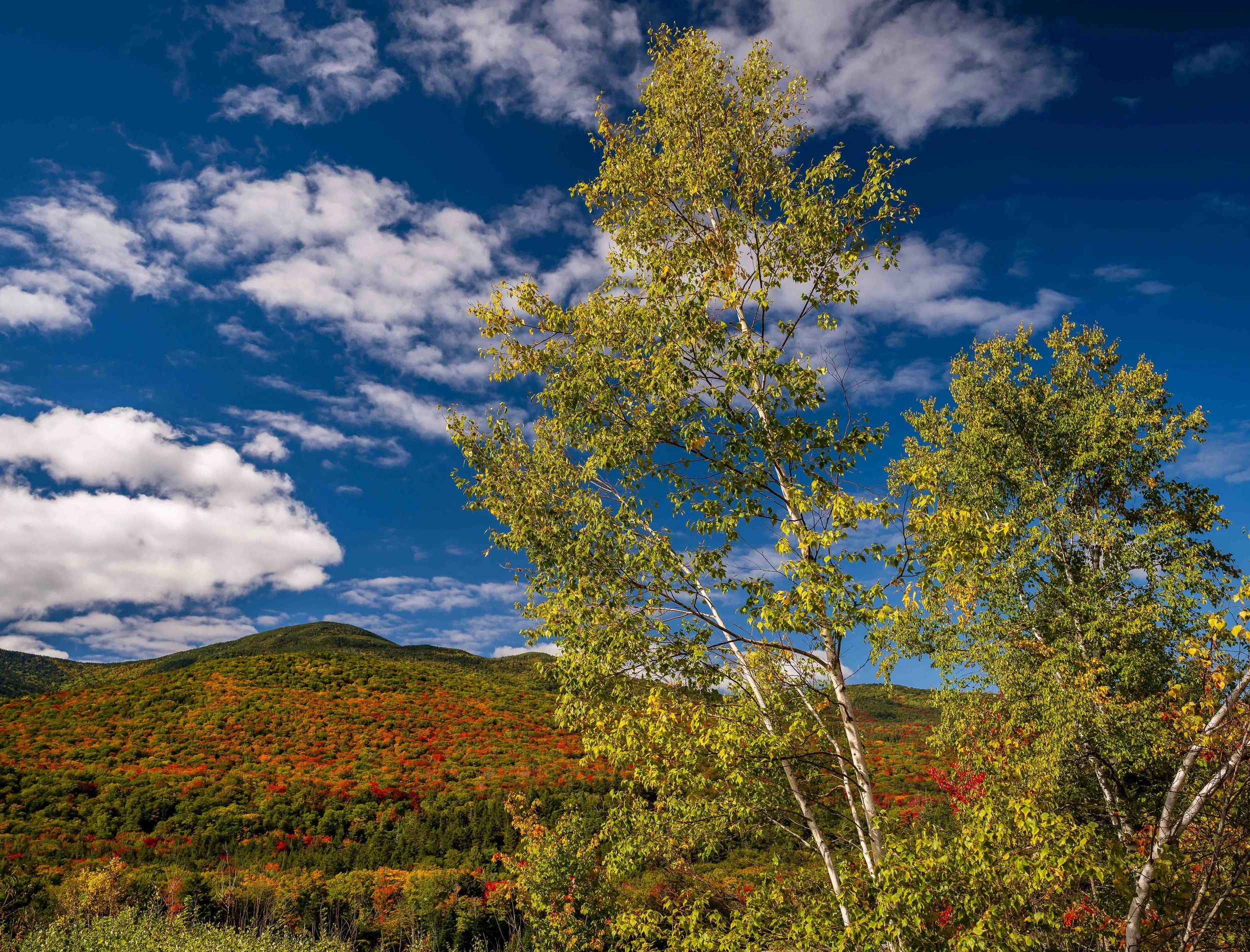 White Mountains Fall Foliage: A Photographer’s Guide to Early Autumn Color in New Hampshire
