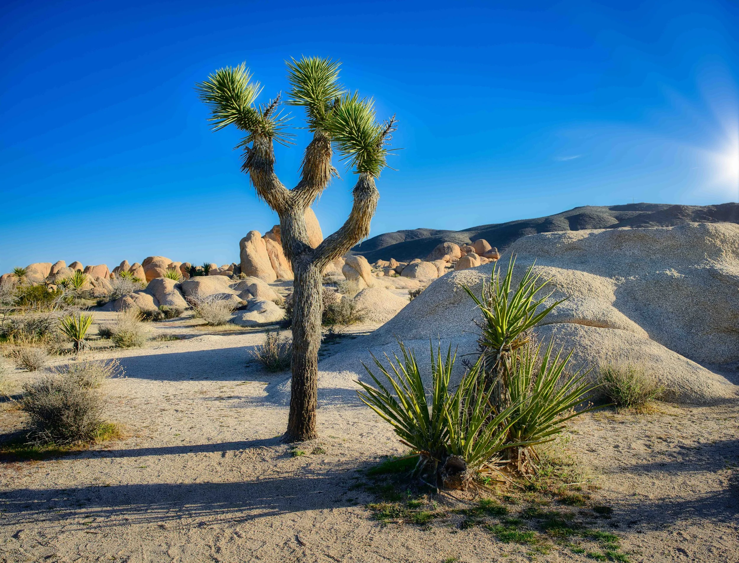 Along the Trail to Arch Rock