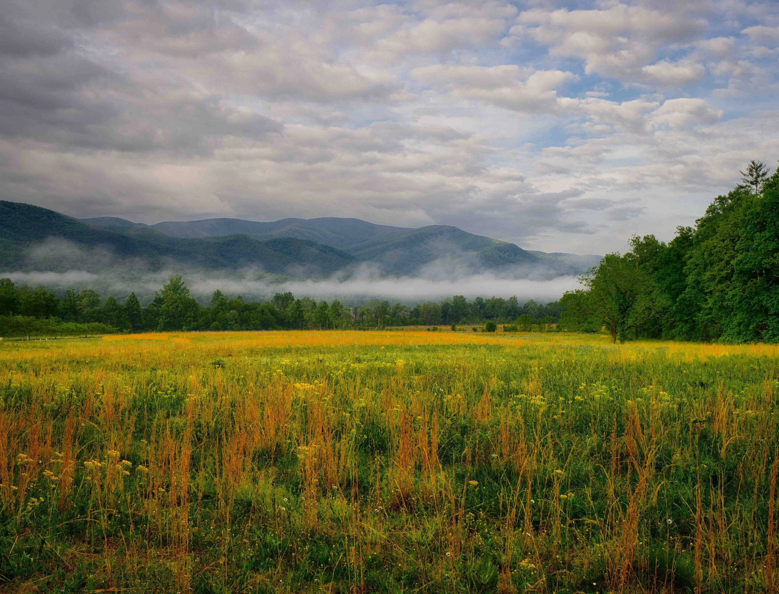 Cades Cove.jpg
