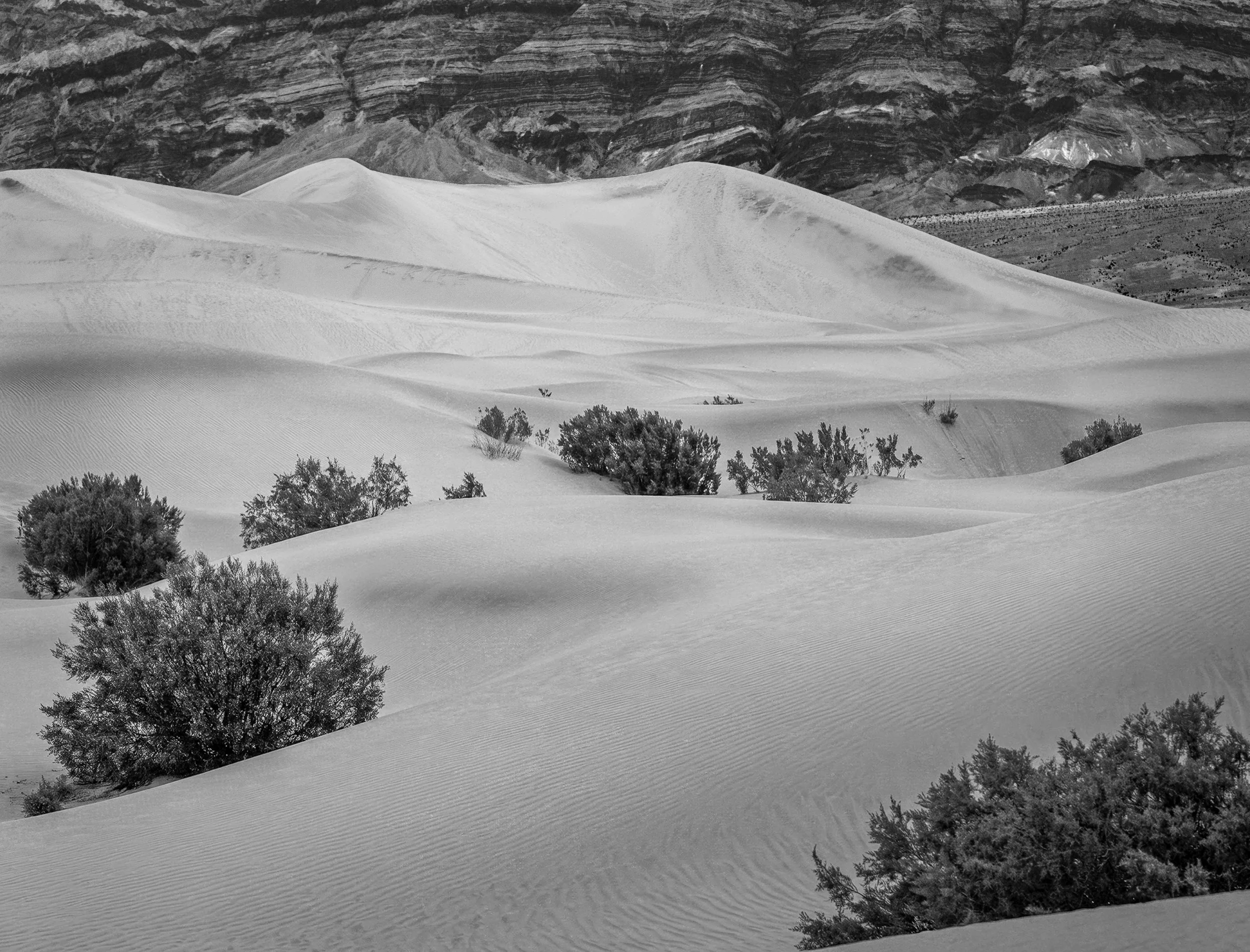 Mesquite Flat Sand Dumes