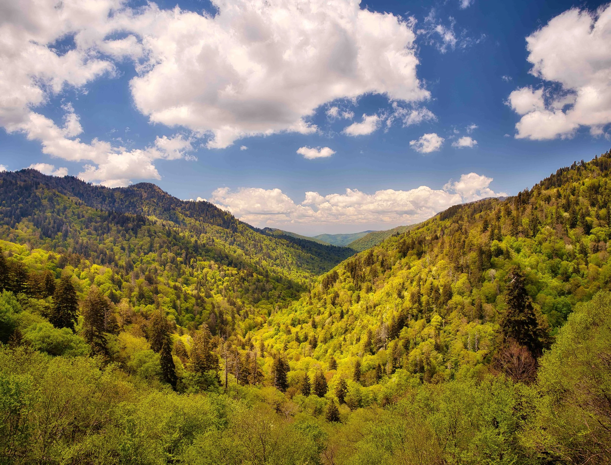 Ben Morton Overlook