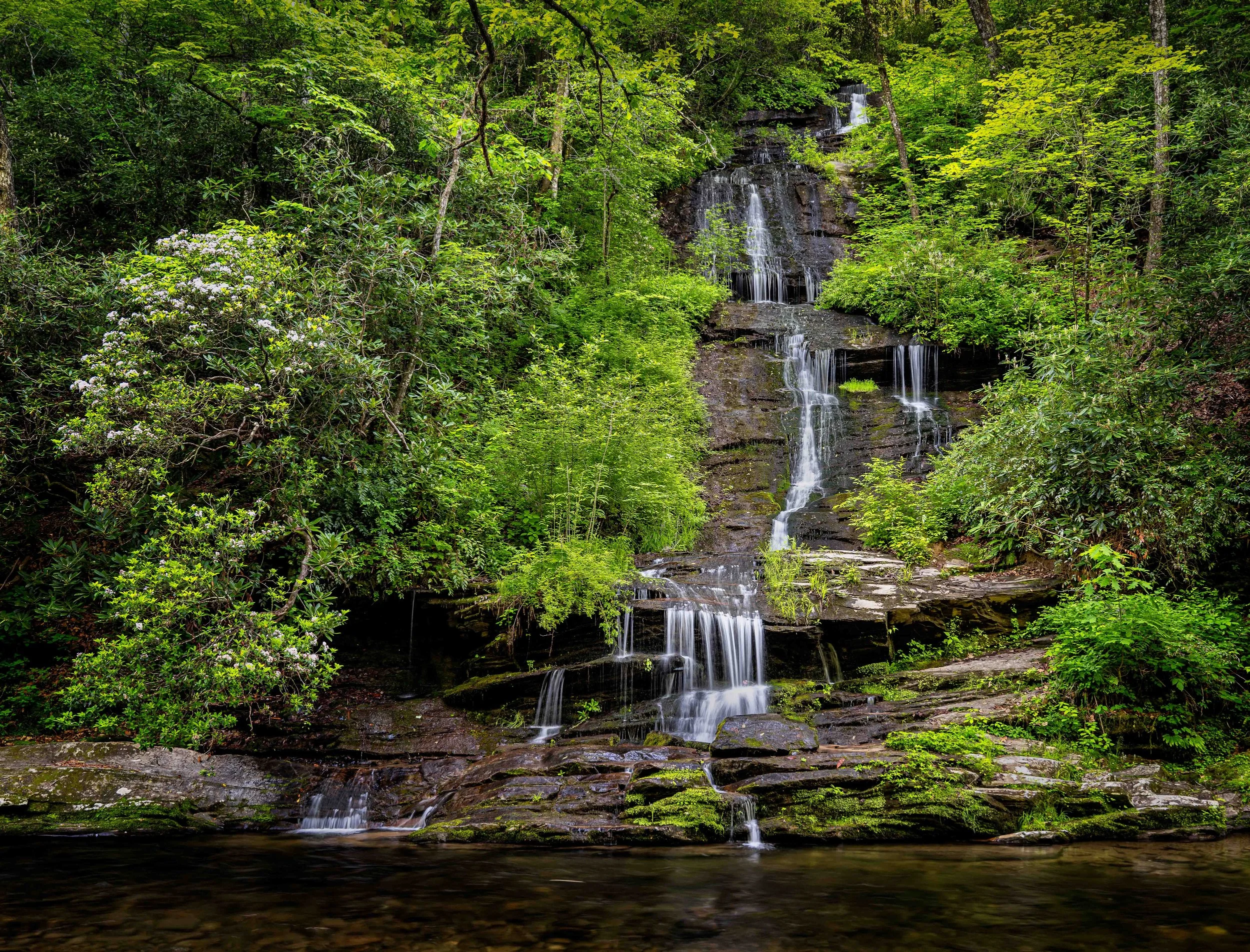 Tom Branch Falls