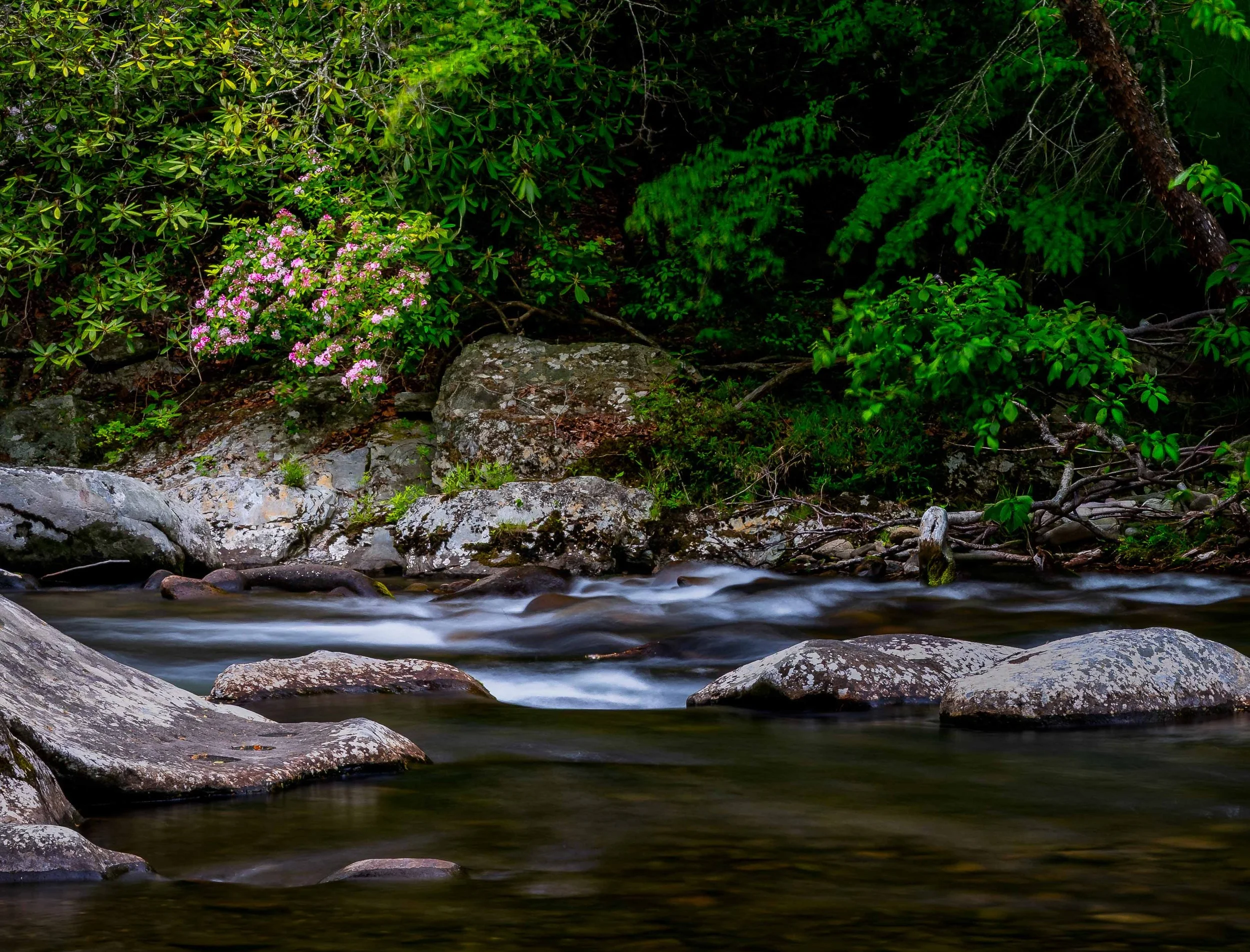 Meigs Creek