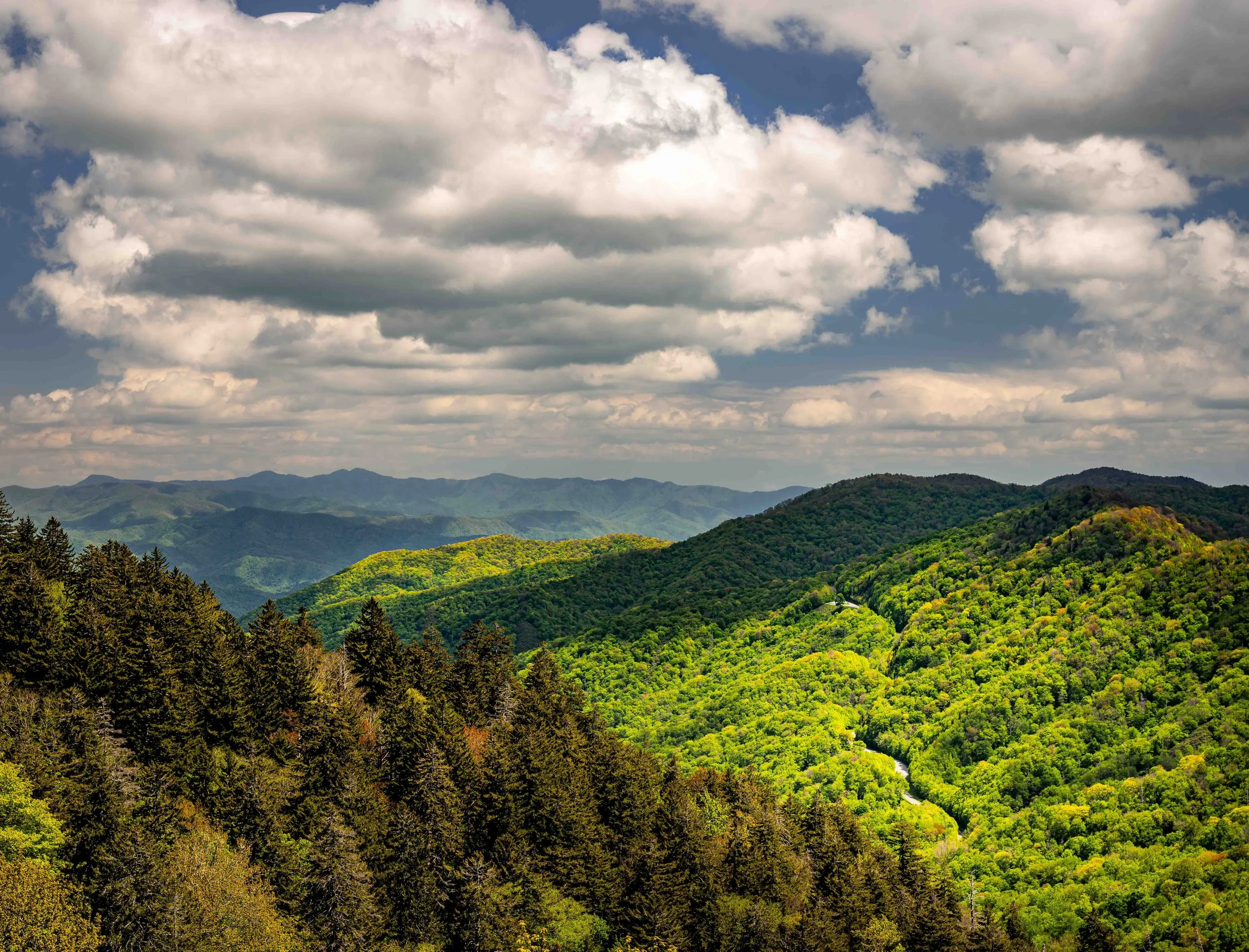 Newfound Gap