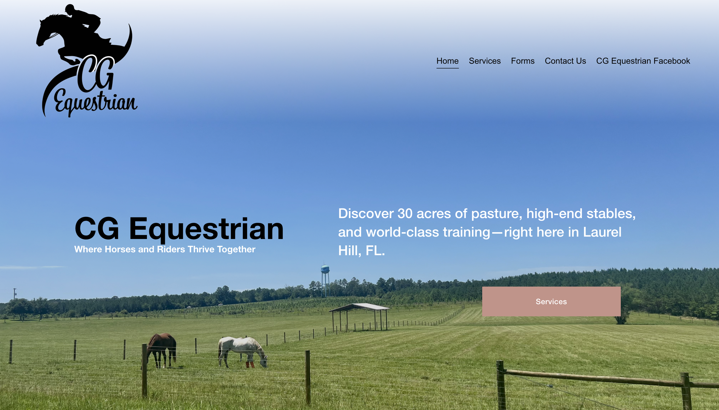 Thank you for Choosing ODST Labs CG Equestrian.png