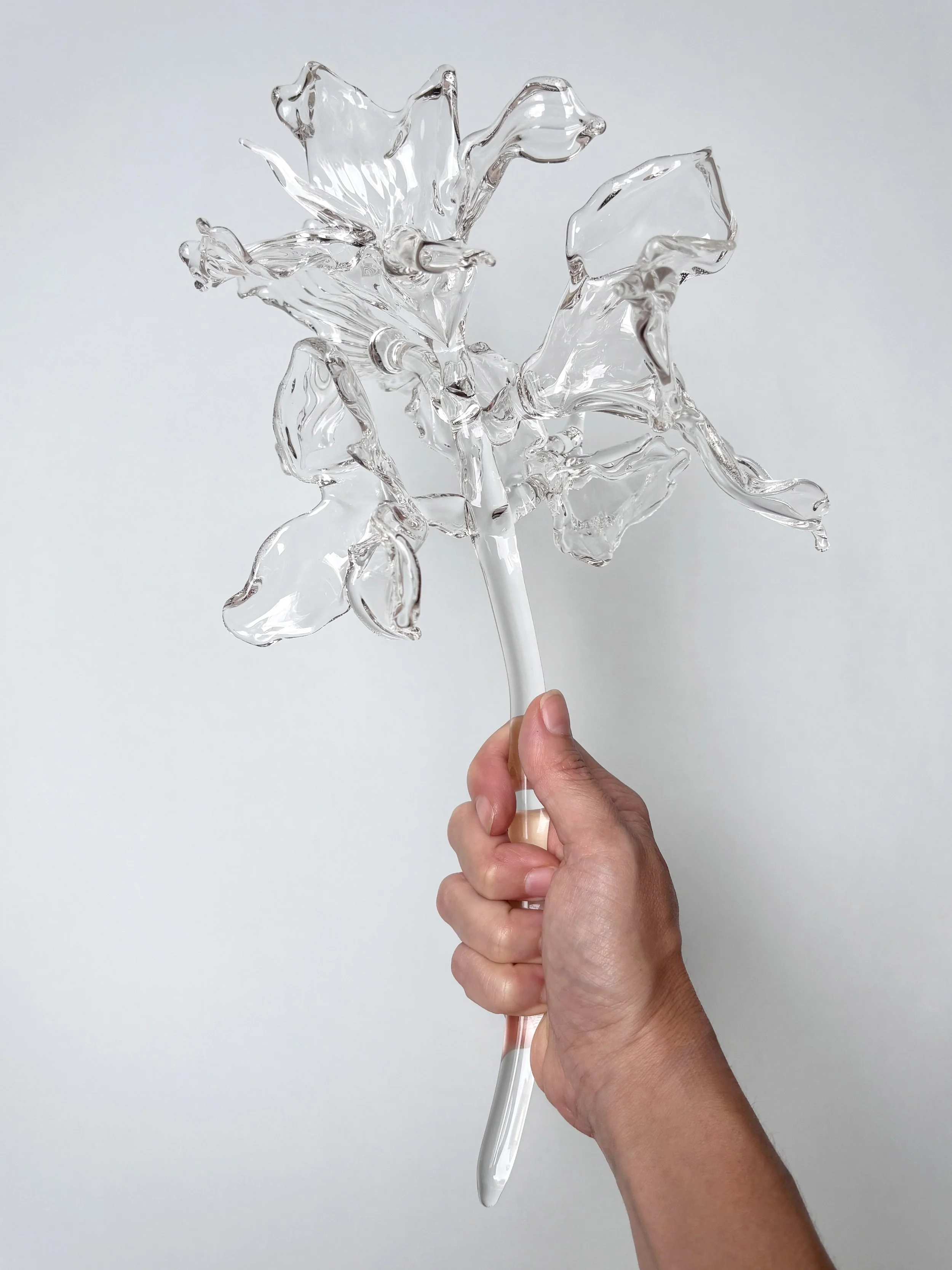 PIA GLASSWORKS_BOUQUET copia.jpg