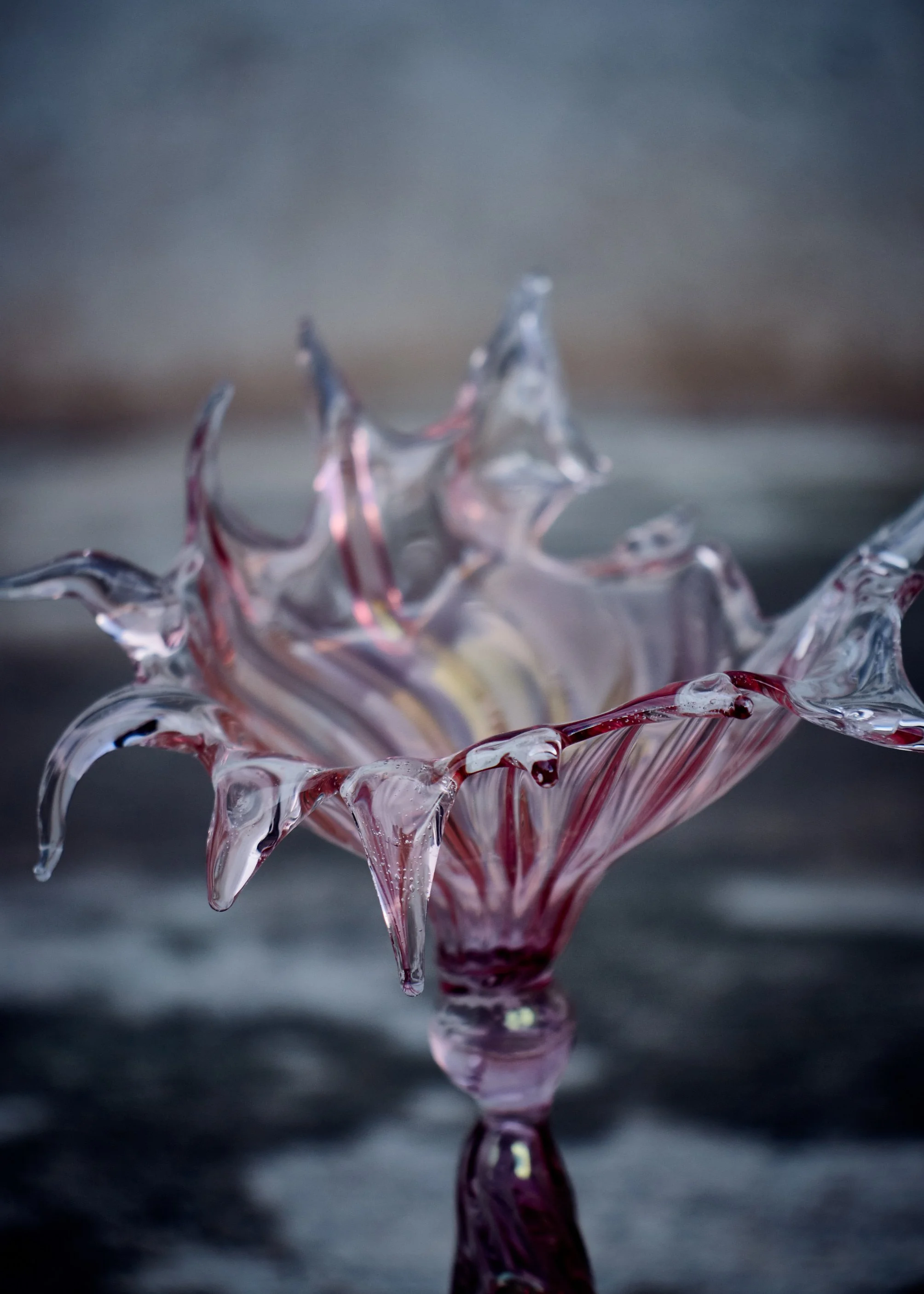 2025_03_22_PIA GLASSWORKS3737.jpg