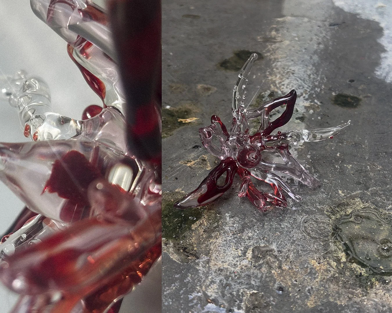 Dragon blood_3.jpg