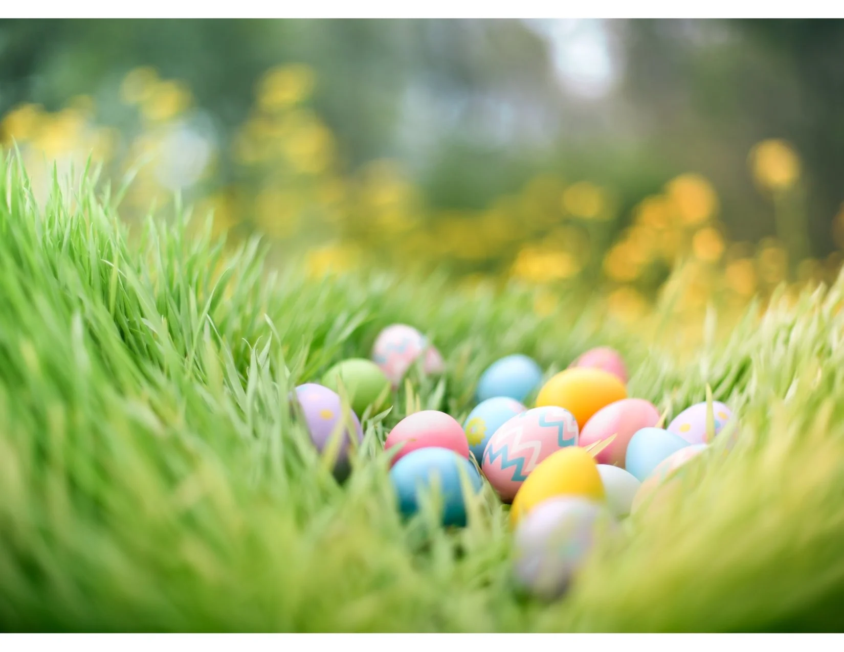 Easter Egg Hunt and Munch