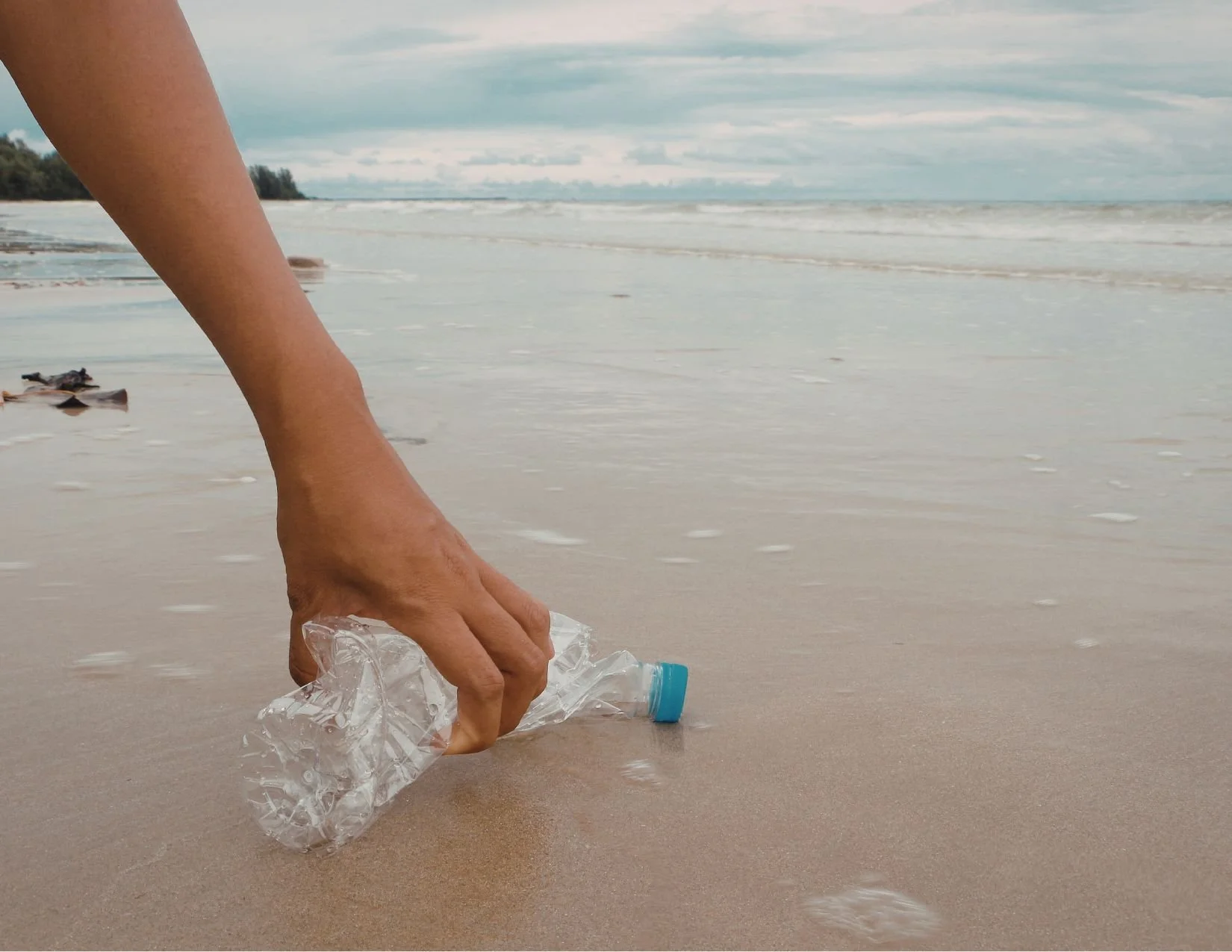 Westside Youth Collective Beach Clean Up