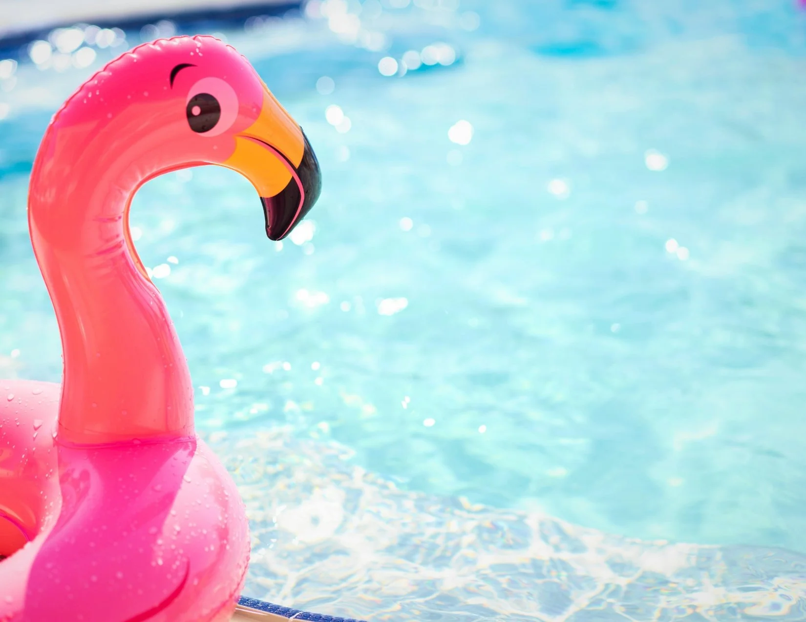 Splish Splash Party