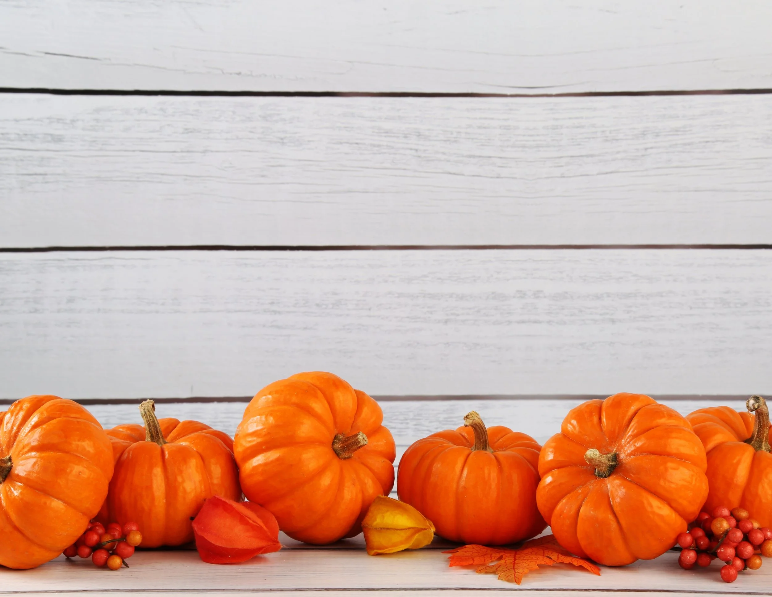 Pumpkin Festival