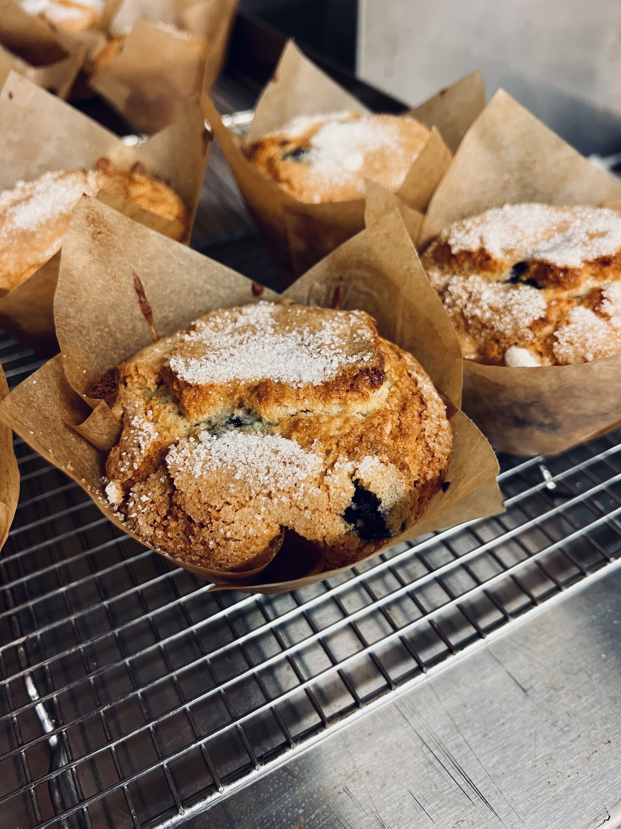 Blueberry Muffin