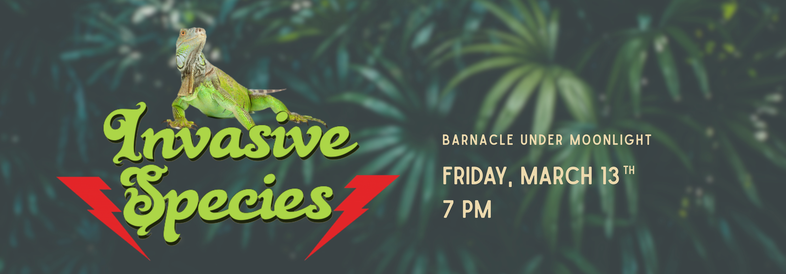 banner squarespace (18).png