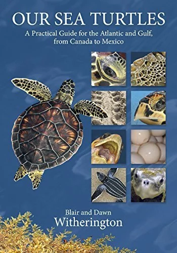 Our Sea Turtles: A Practical Guide