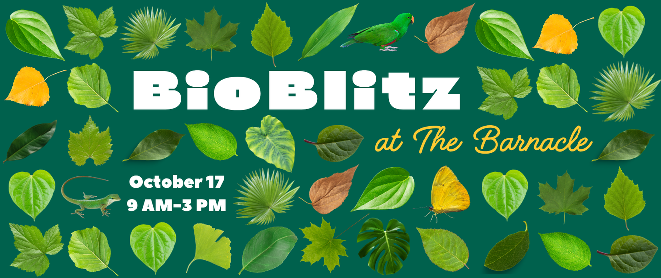 BioBlitz at The Barnacle, October 17, 2026