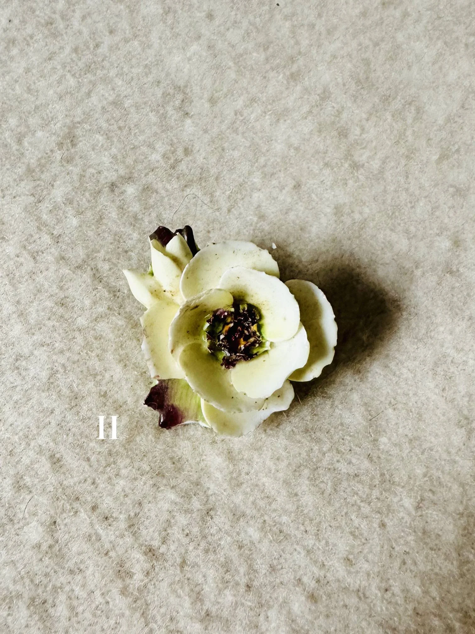 FLOWER BROOCH II.jpg