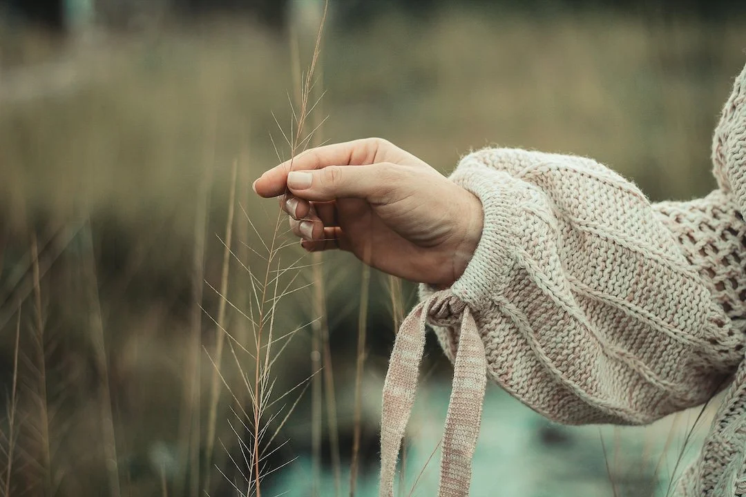 A close-up of a person's hand holding a tall grass stem in a natural outdoor setting, representing holding hope and embodied presence