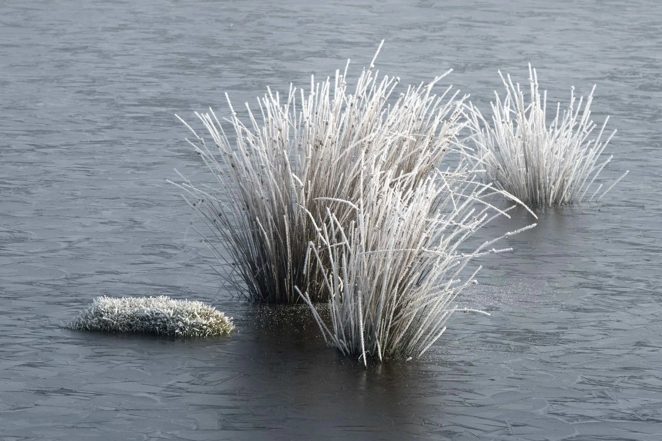 DSC_1189.jpg