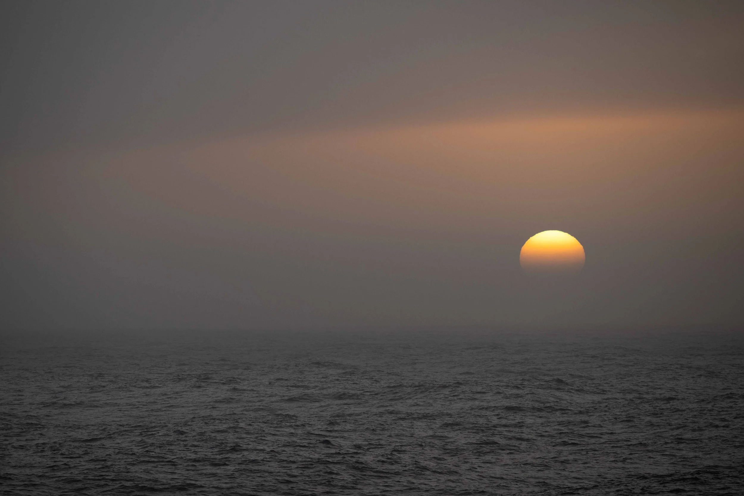 Southern Ocean (2026)