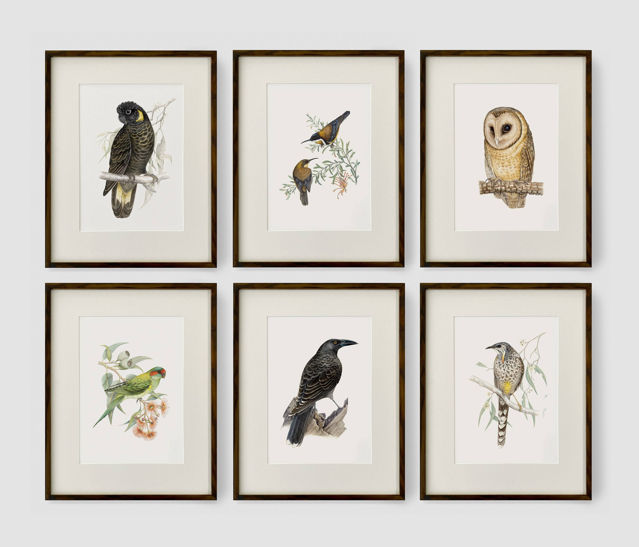 00_FB_Print Collection.jpg
